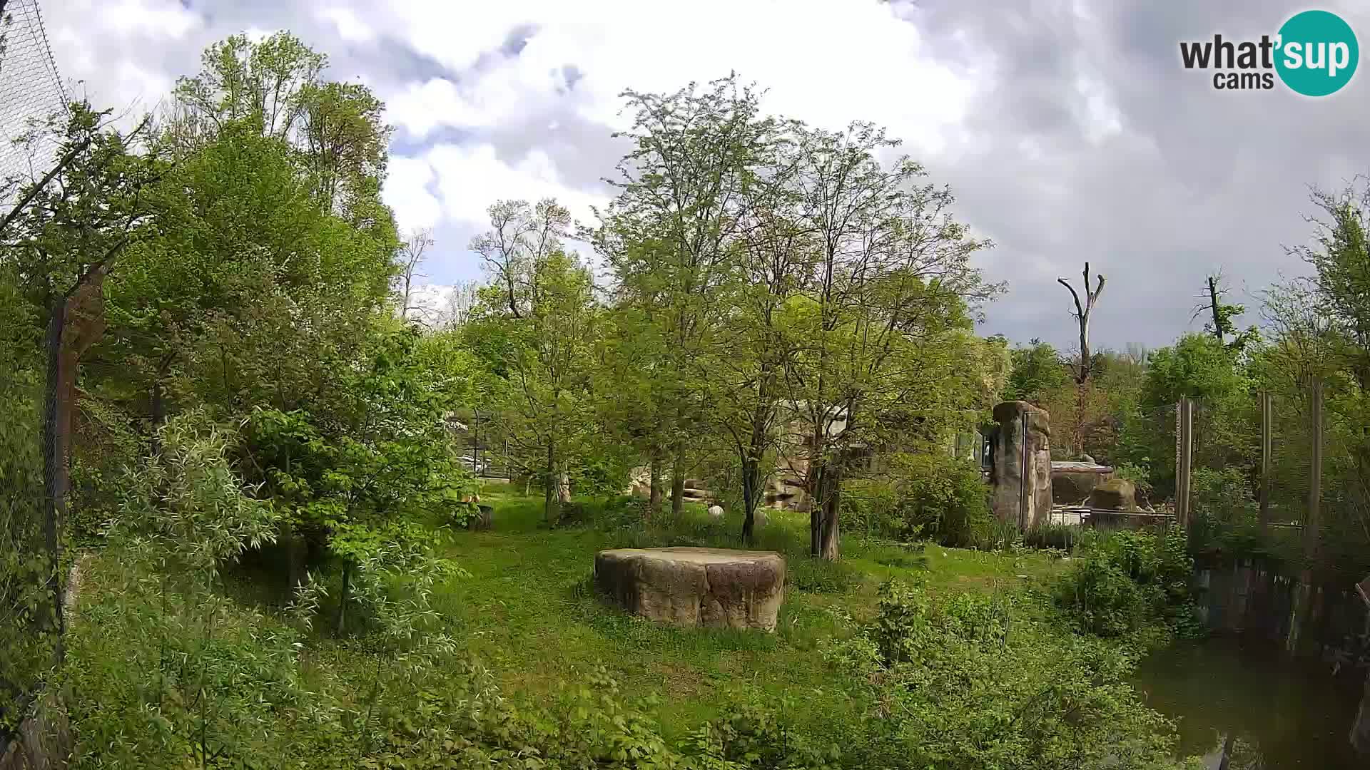 Spletna kamera Zoo Zagreb – Levi