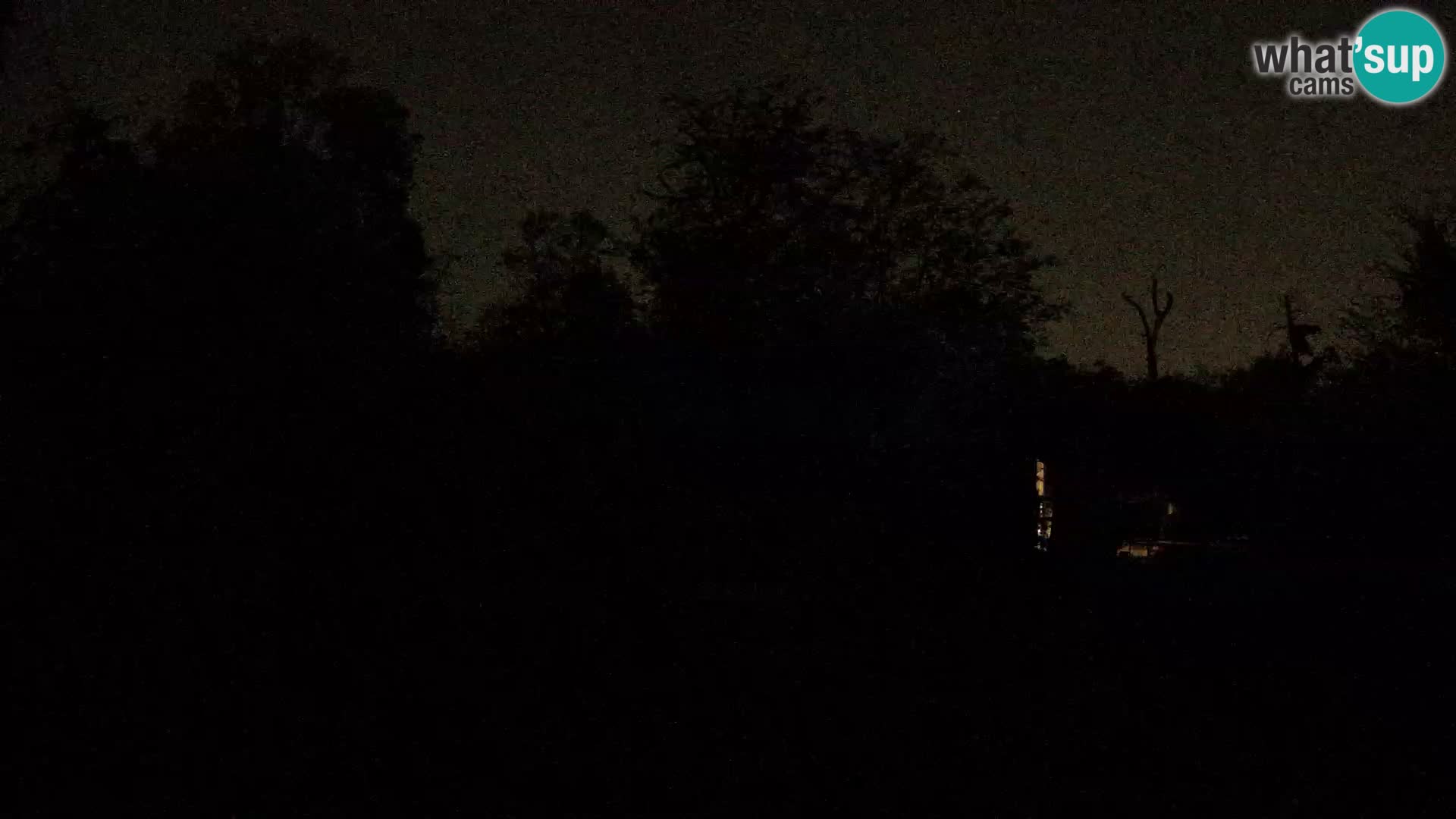 Spletna kamera Zoo Zagreb – Levi