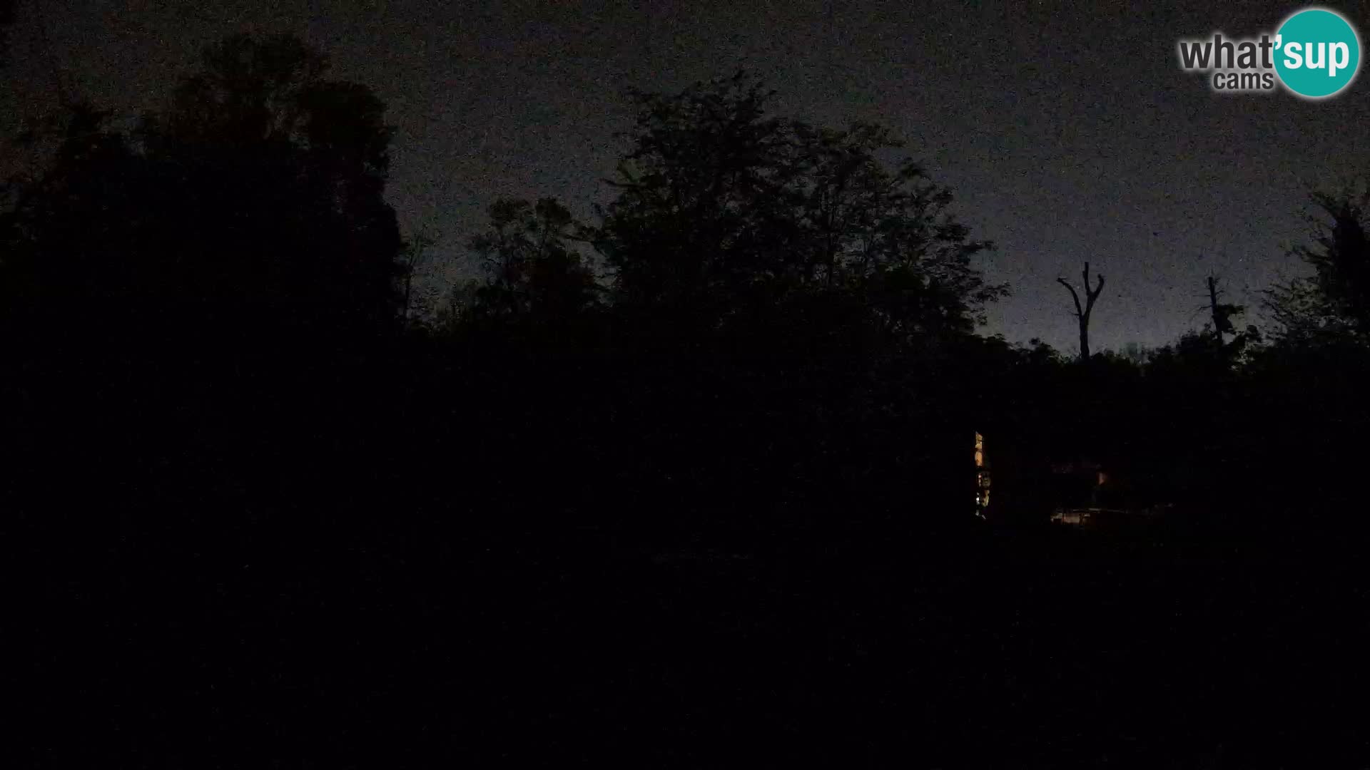 Spletna kamera Zoo Zagreb – Levi