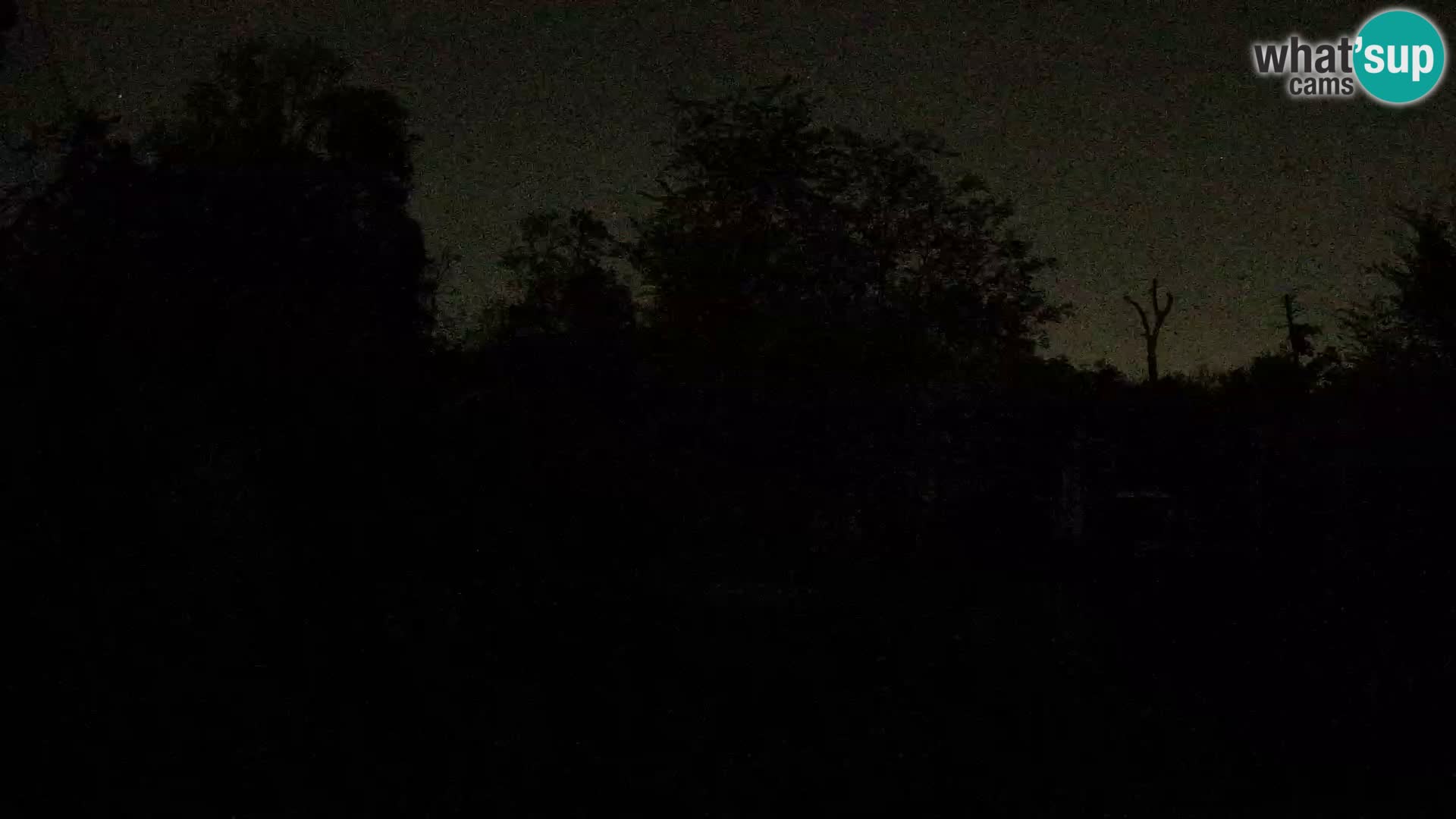 Zoo Zagreb – Leones