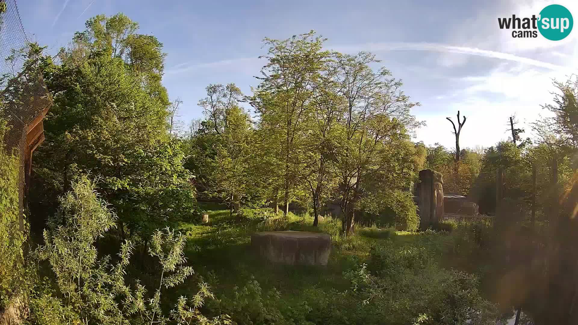 Zoo Zagreb – Löwen