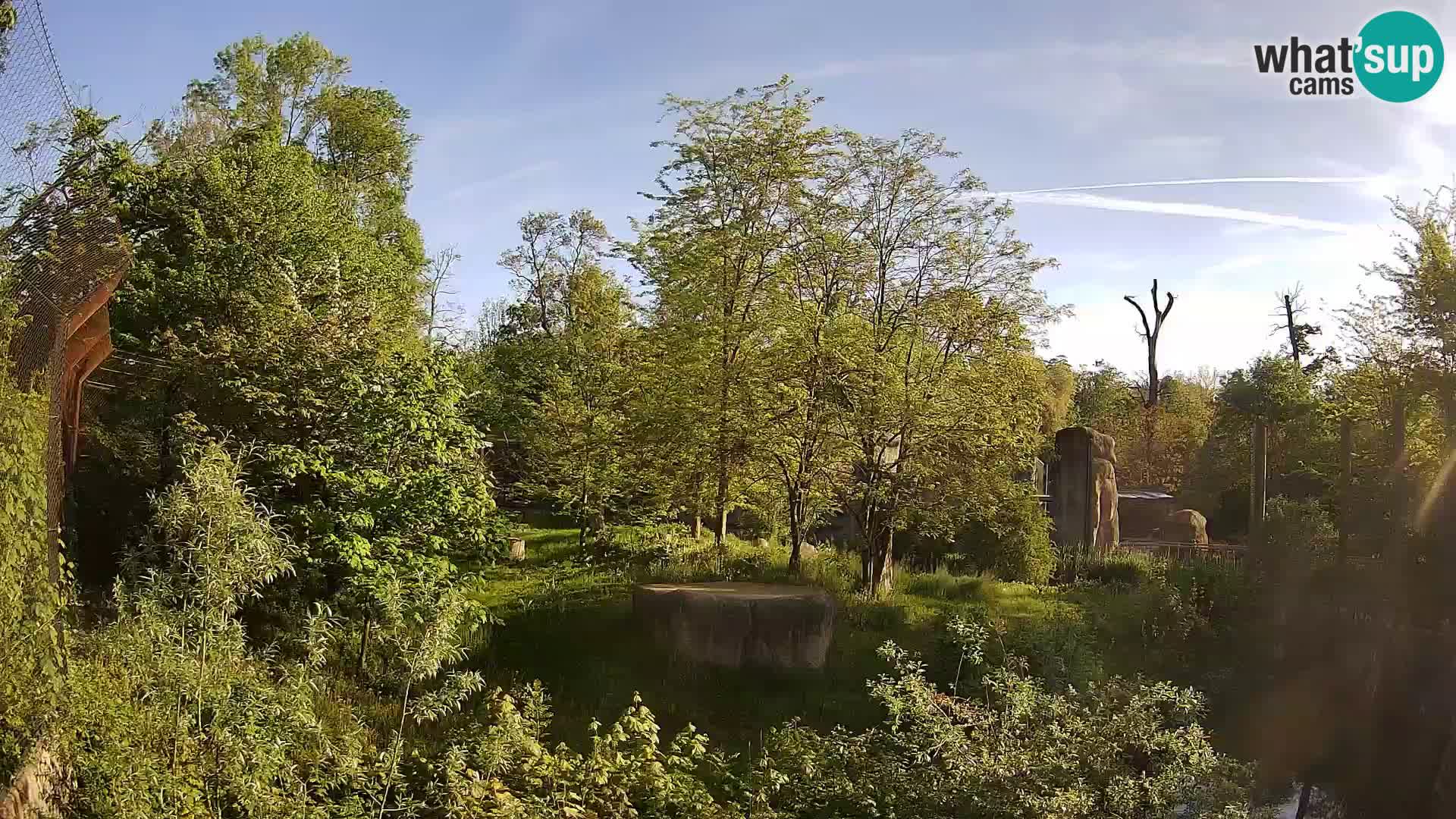 Zoo Zagreb – Löwen