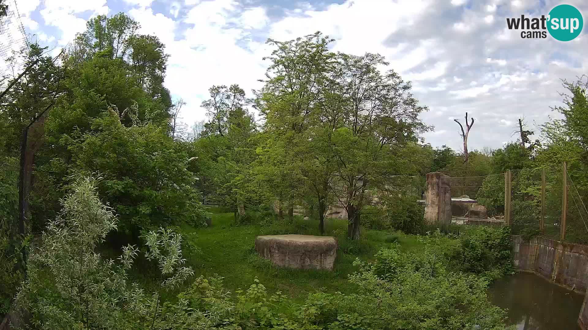 Zoo Zagreb – Lavovi