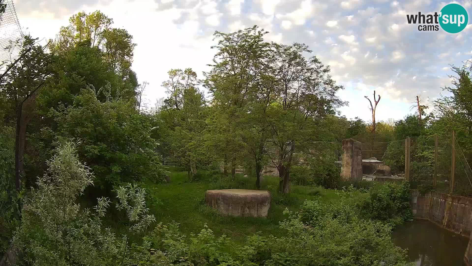 Zoo Zagreb – Leoni