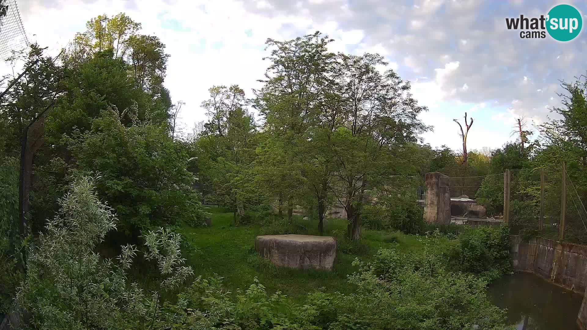 Zoo Zagreb – Leoni