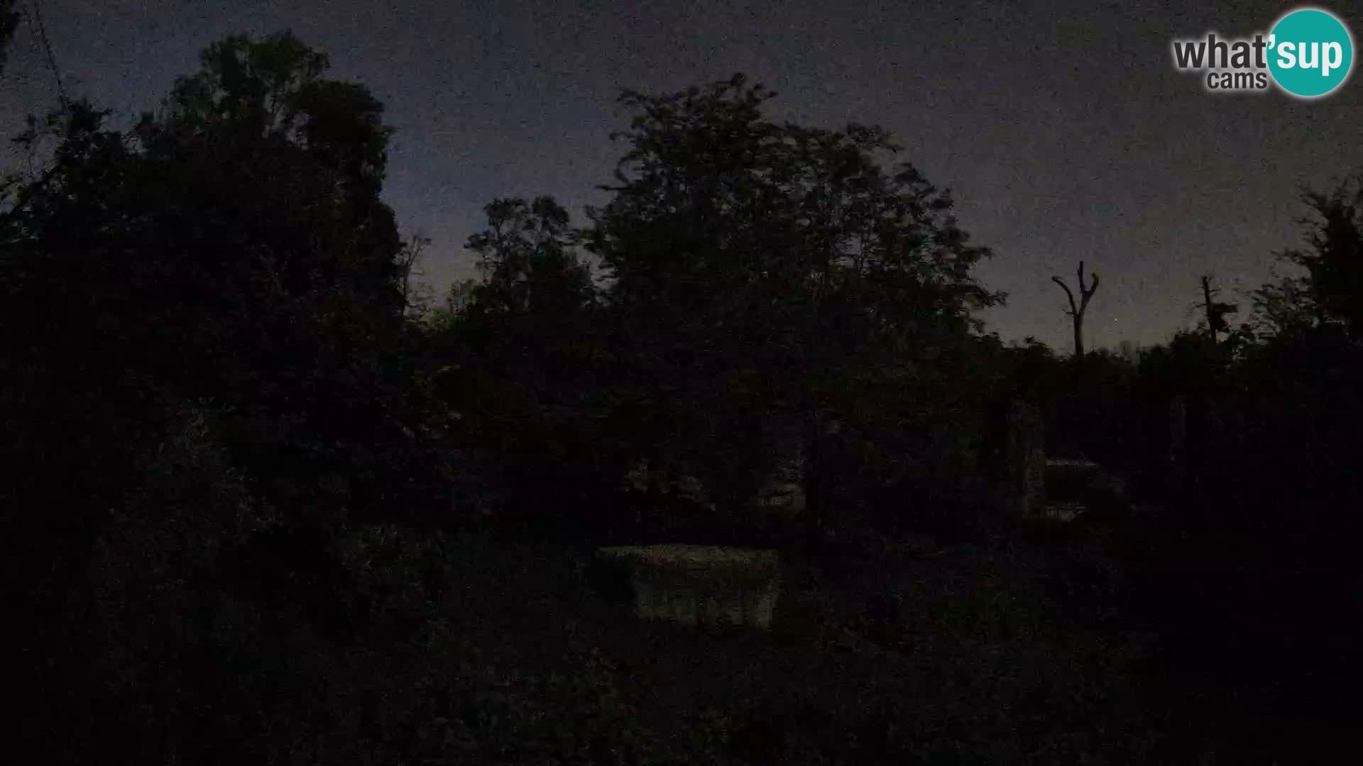 Zoo Zagreb – Leoni