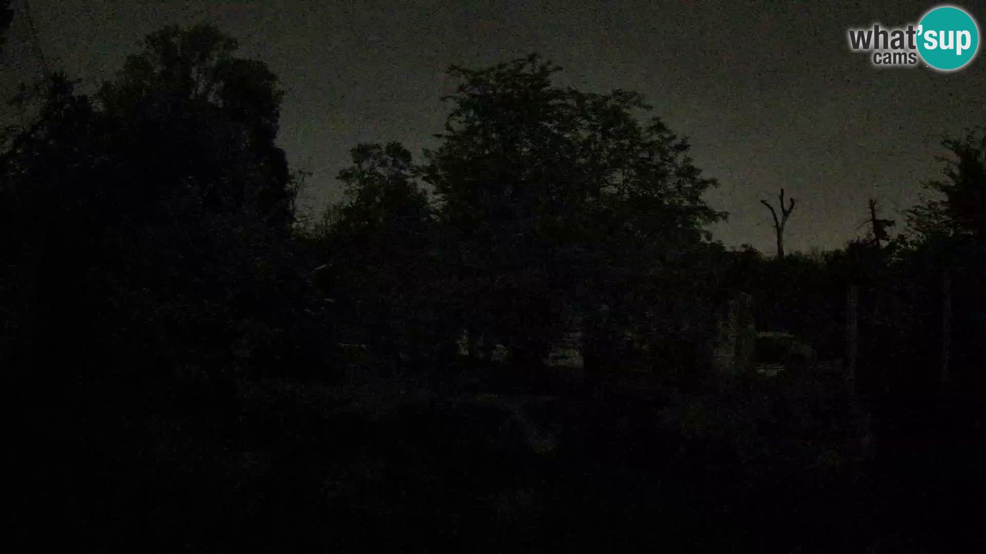 Zoo Zagreb – Leoni