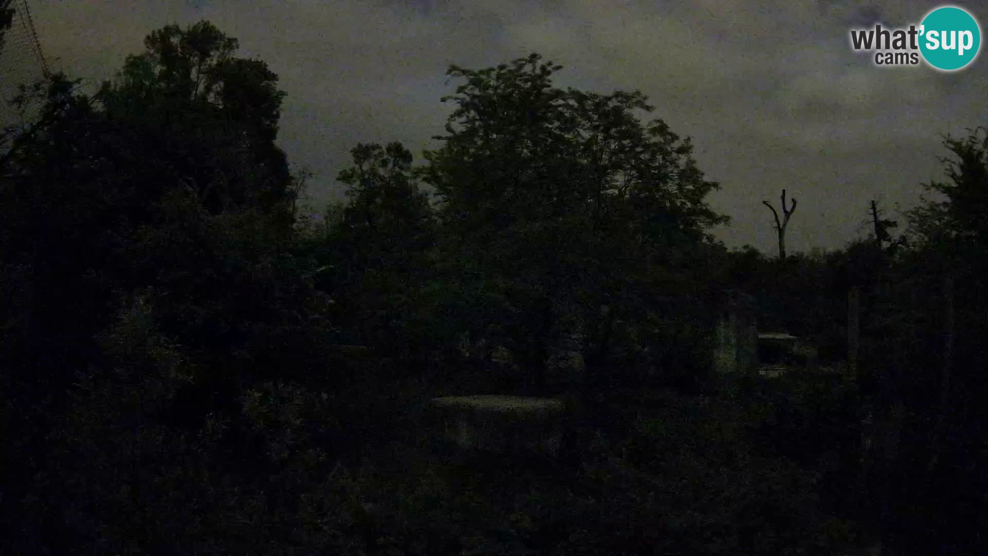 Zoo Zagreb – Leoni