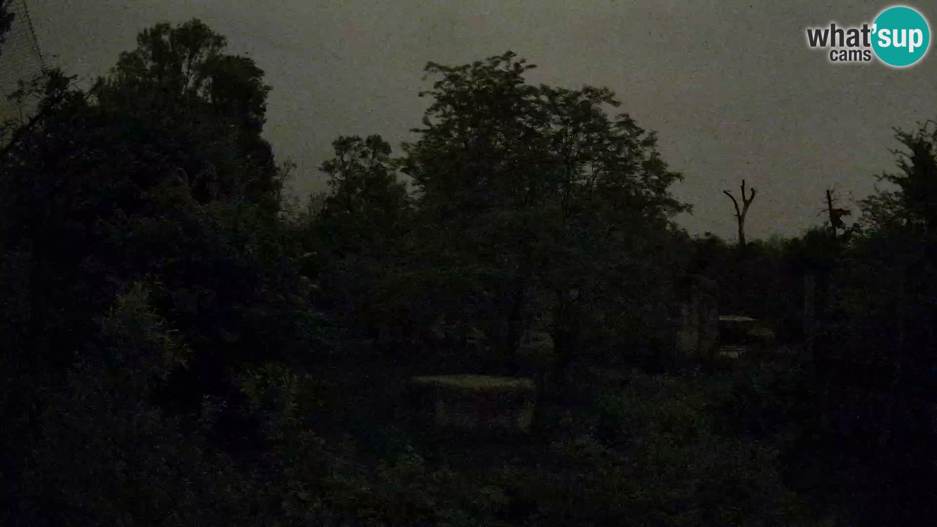 Zoo Zagreb – Leones