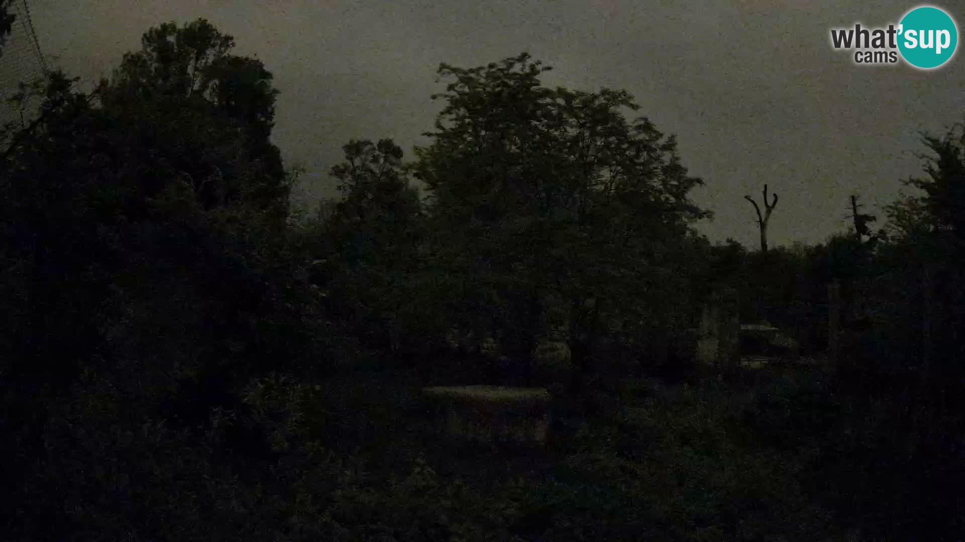 Zoo Zagreb – Leoni