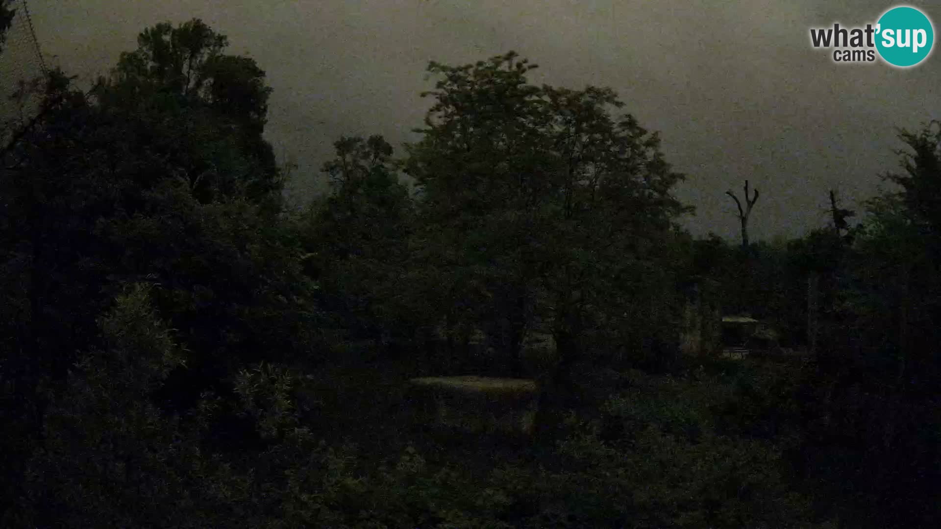 Zoo Zagreb – Leoni