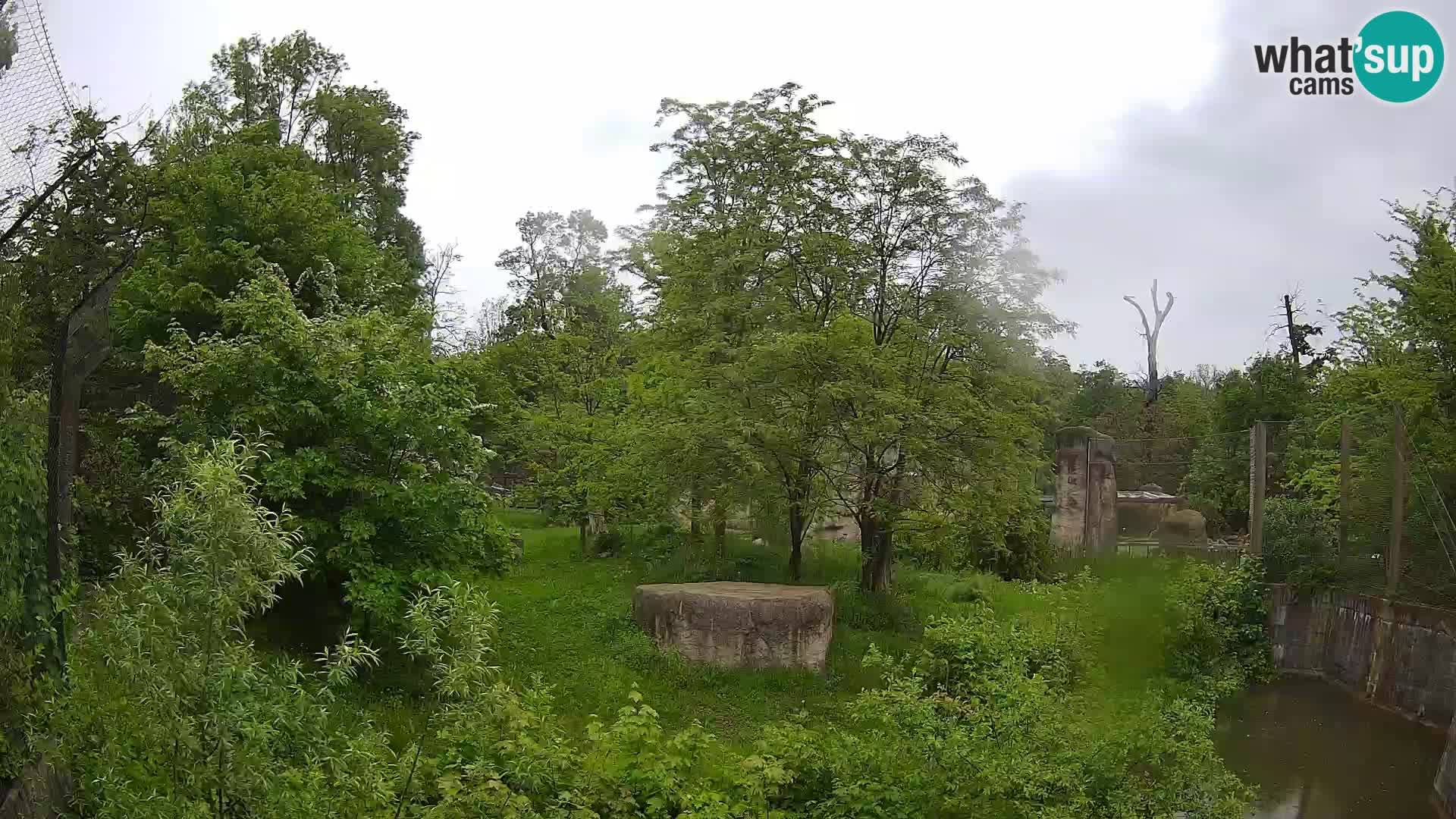 Zoo Zagreb – Leones