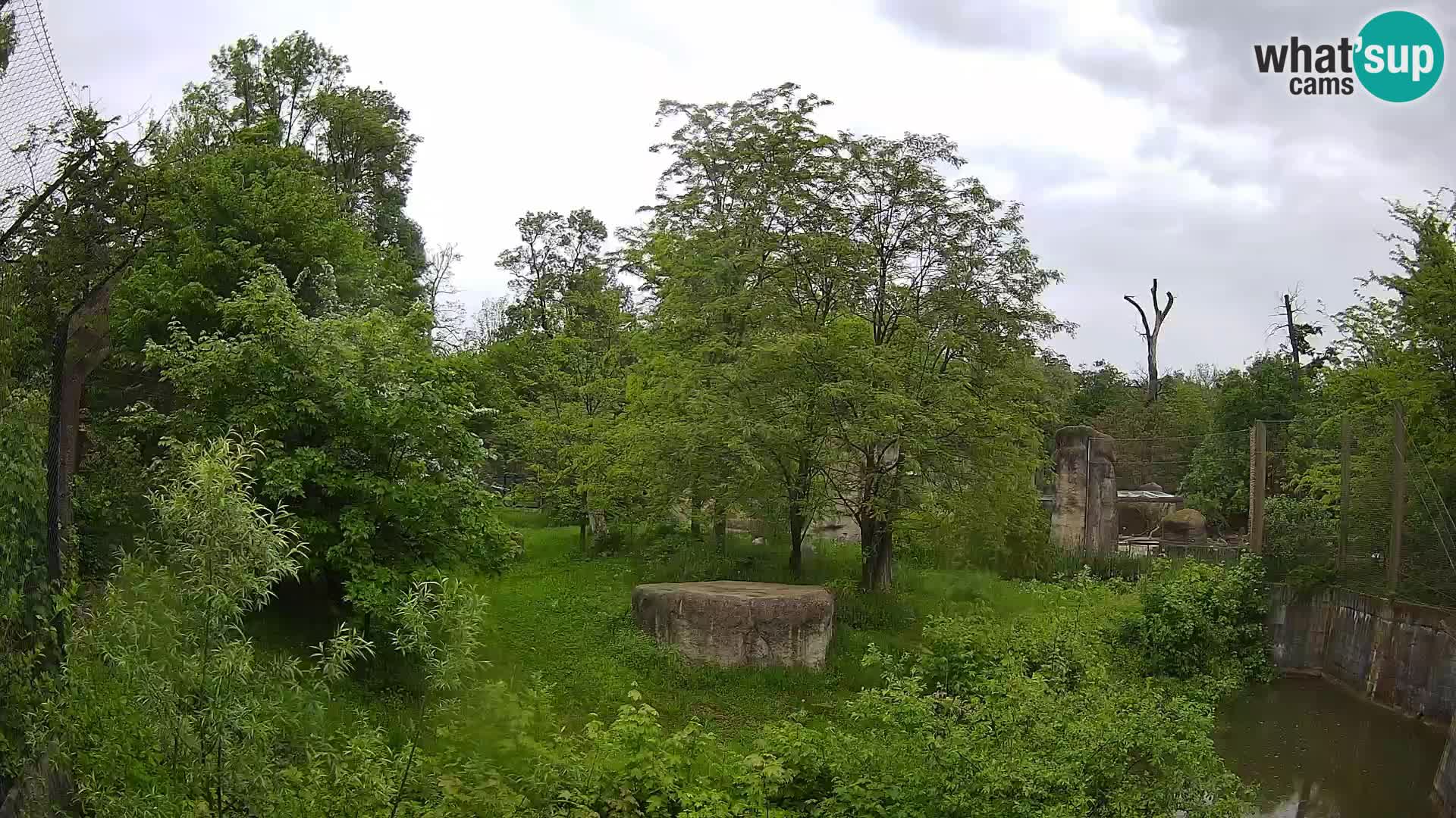 Zoo Zagreb – Leones