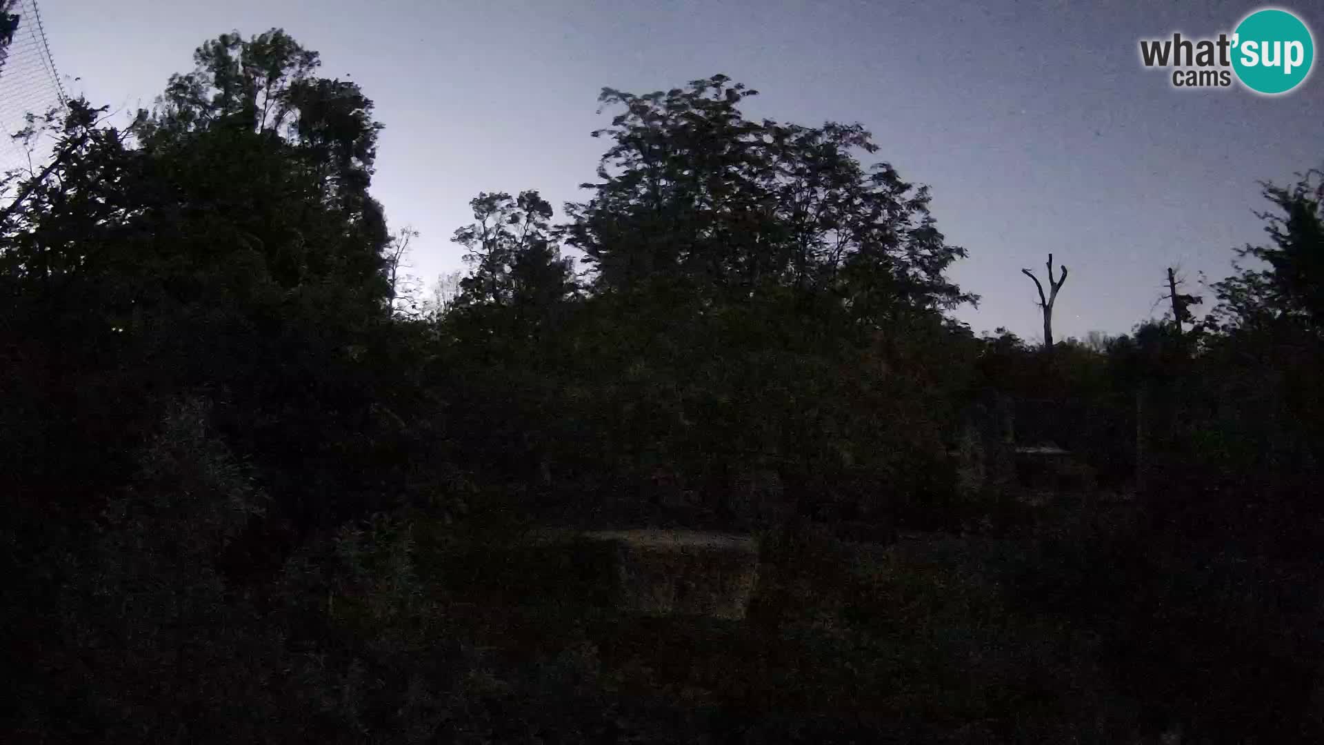 Zoo Zagreb – Leoni