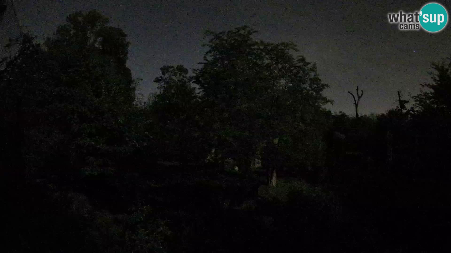 Zoo Zagreb – Leoni