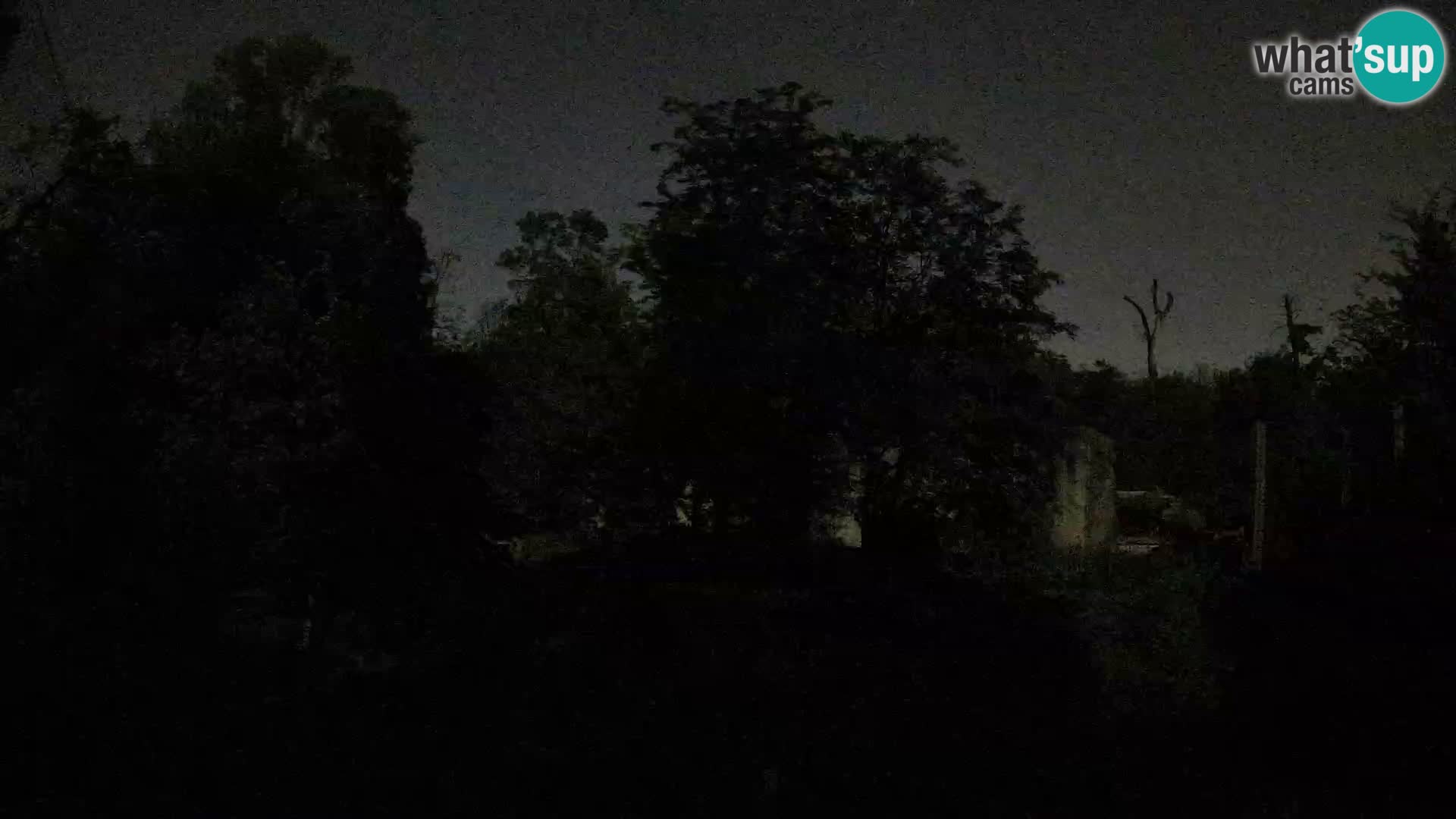 Zoo Zagreb – Löwen