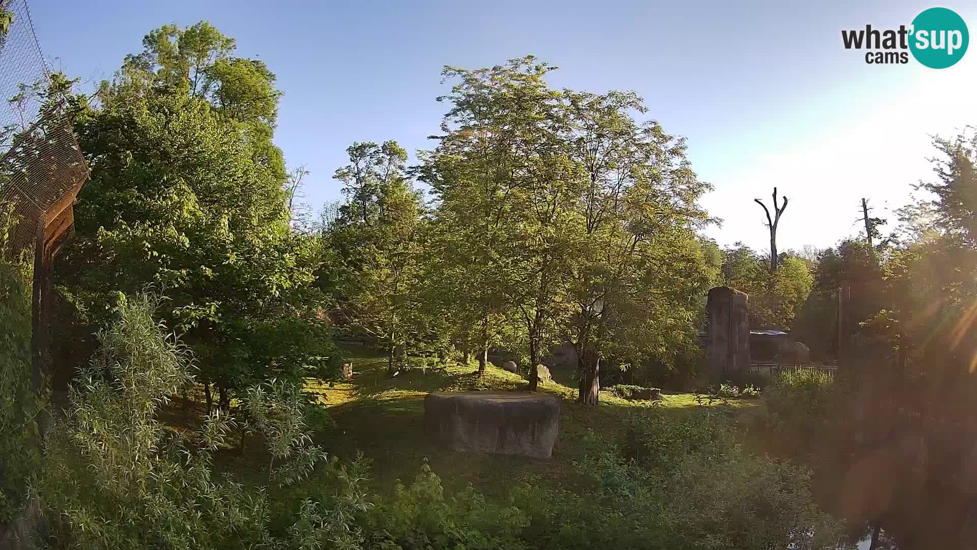 Zoo Zagreb – Leones
