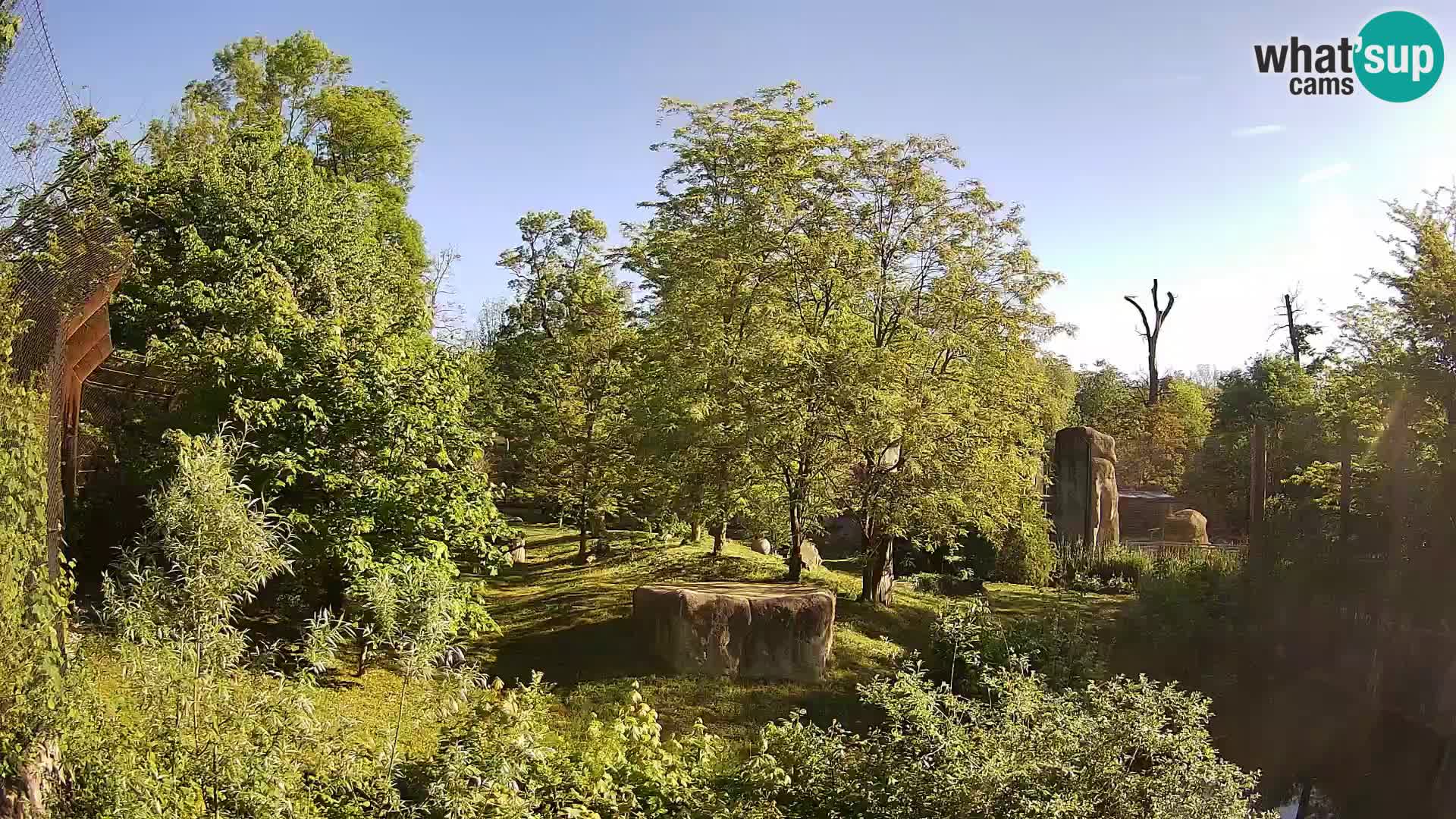 Zoo Zagreb – Lion