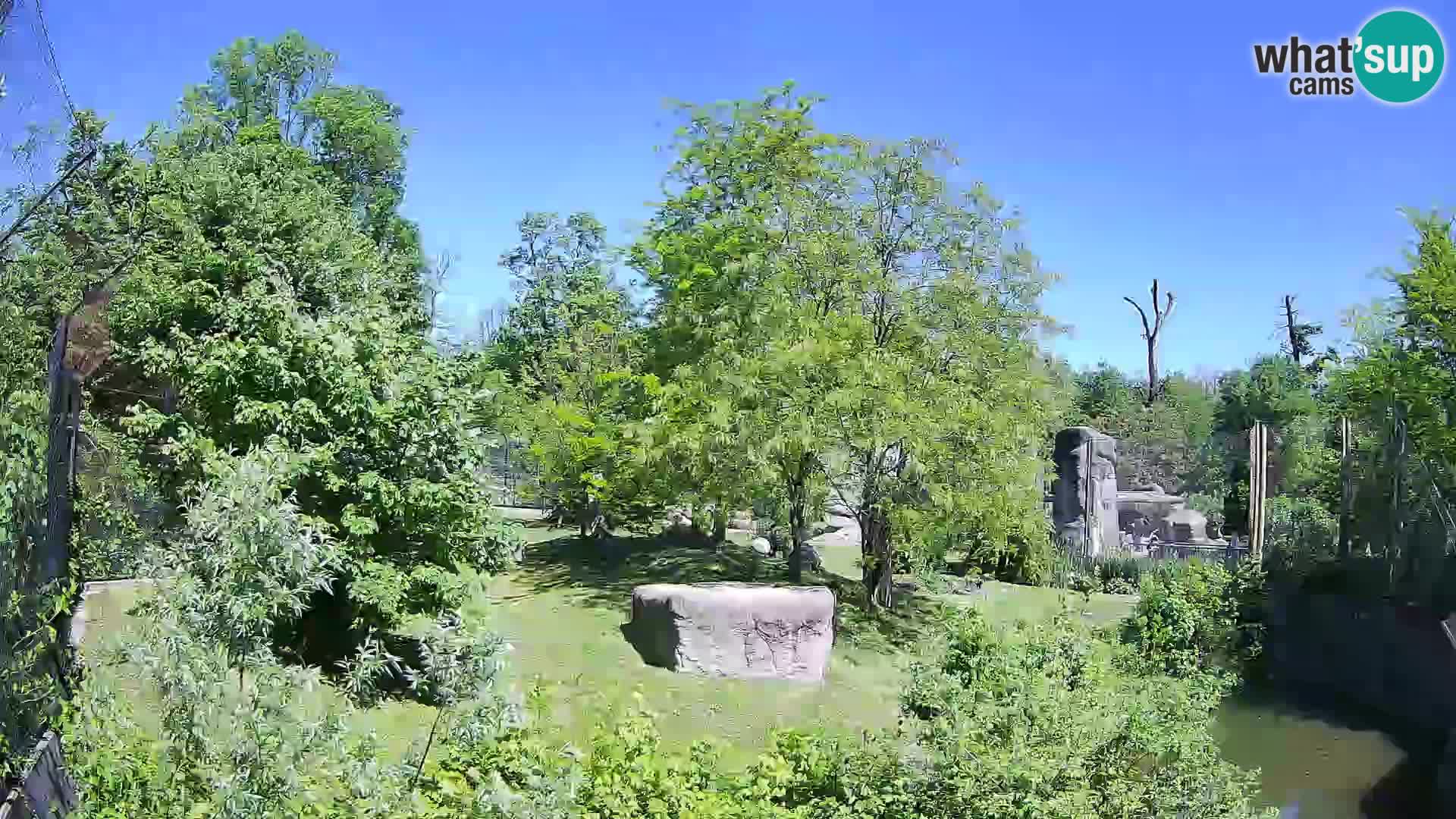 Zoo Zagreb – Leones