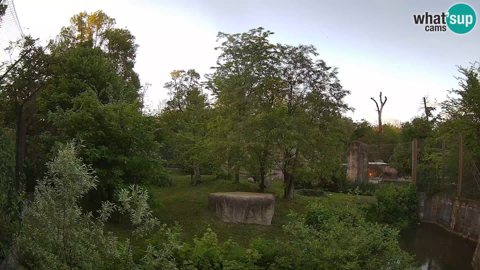 Zoo Zagreb – Leoni