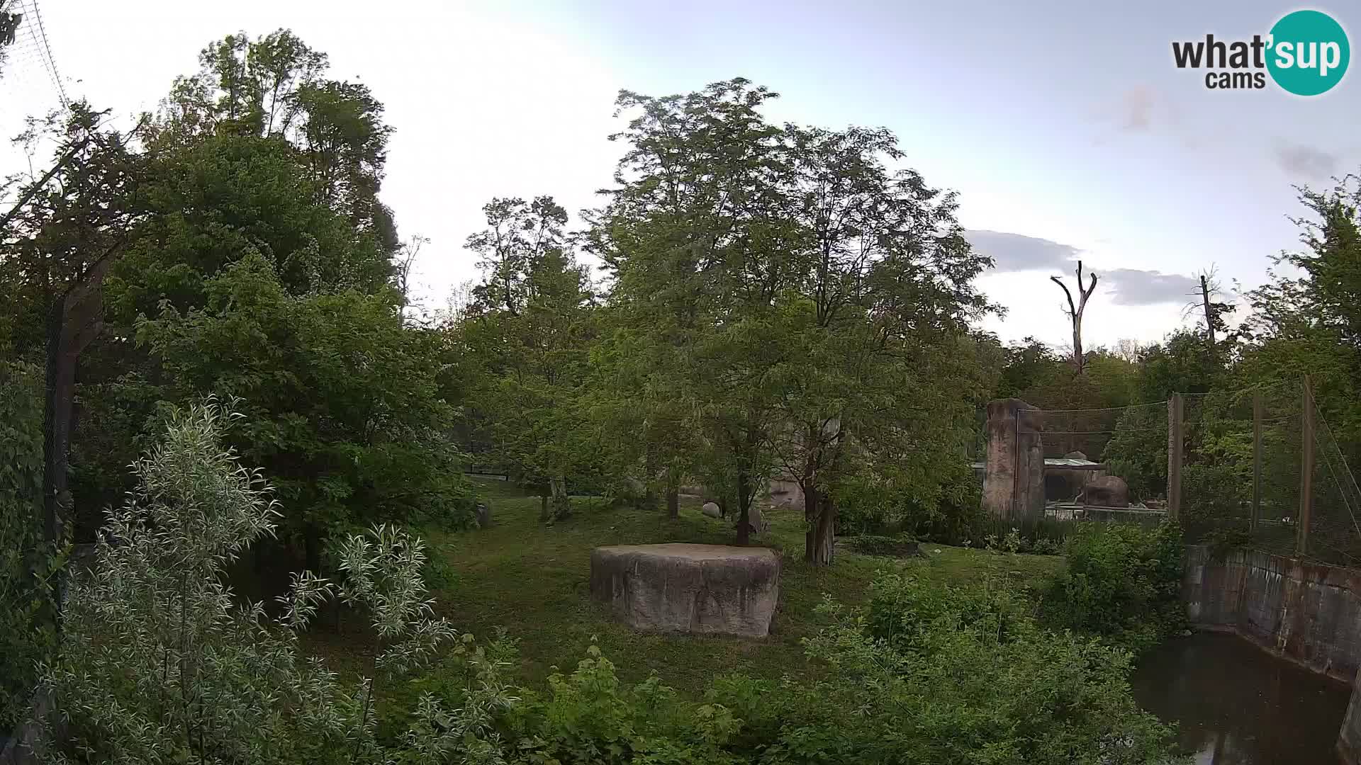 Spletna kamera Zoo Zagreb – Levi
