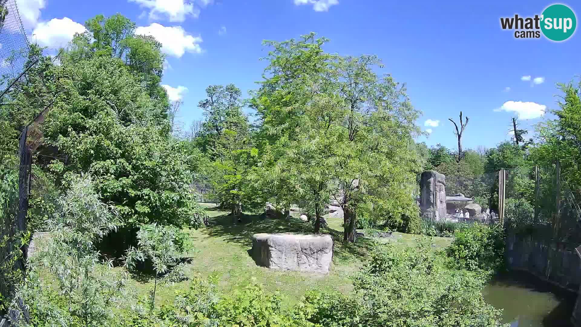 Zoo Zagreb – Leoni