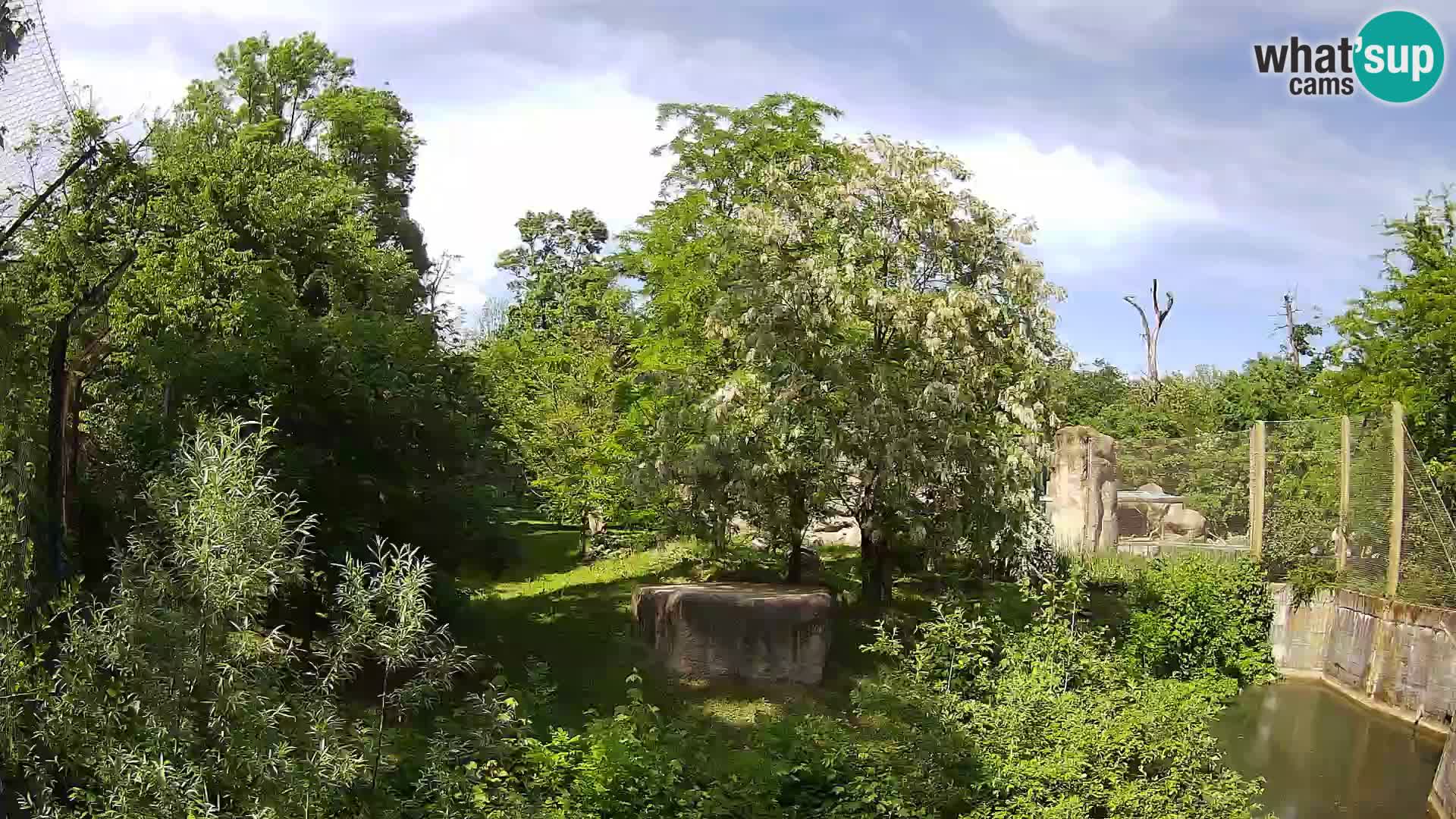 Zoo Zagreb – Leoni