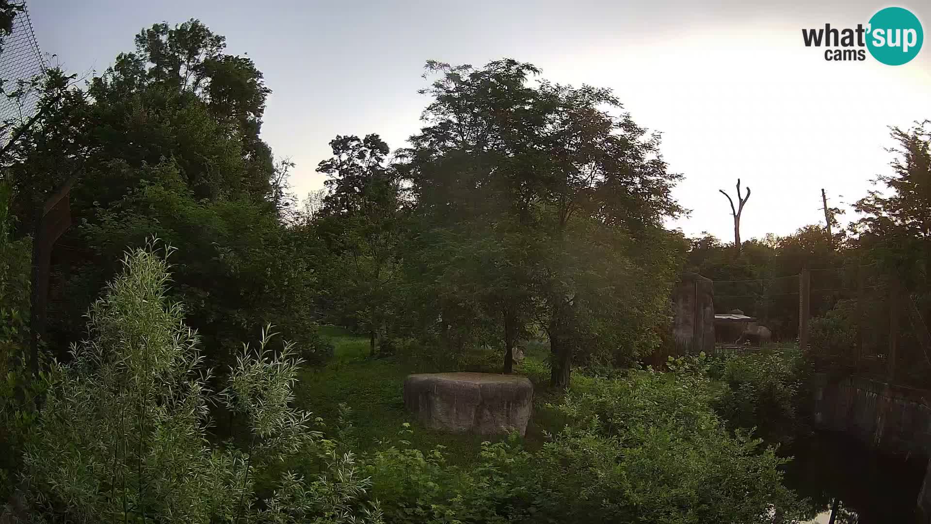 Zoo Zagreb – Lavovi