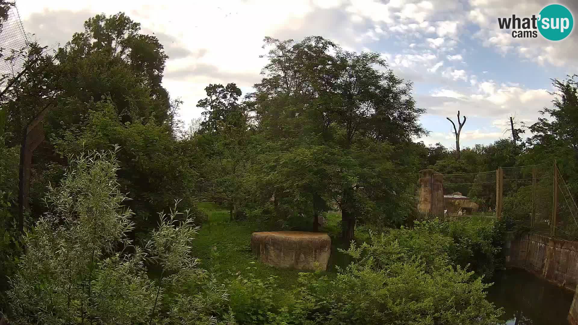 Zoo Zagreb – Löwen