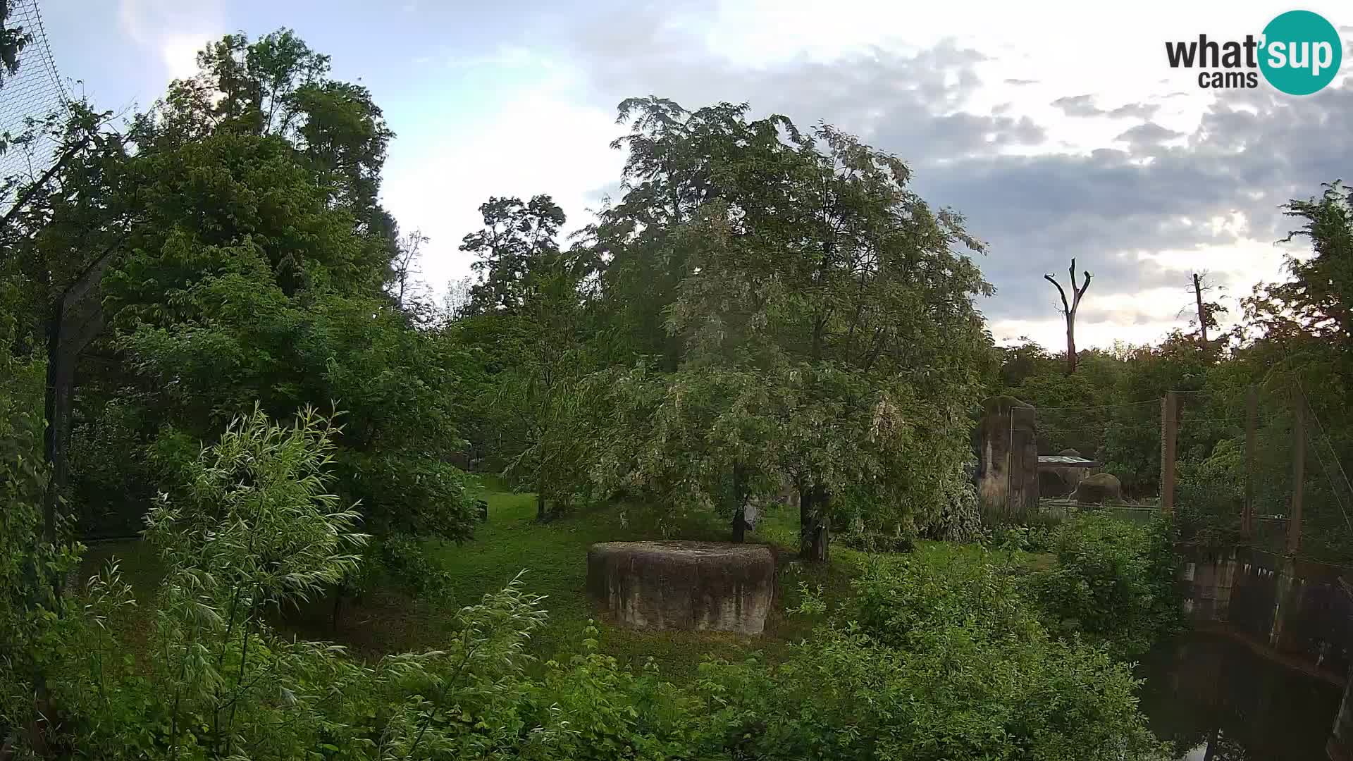 Zoo Zagreb – Lion