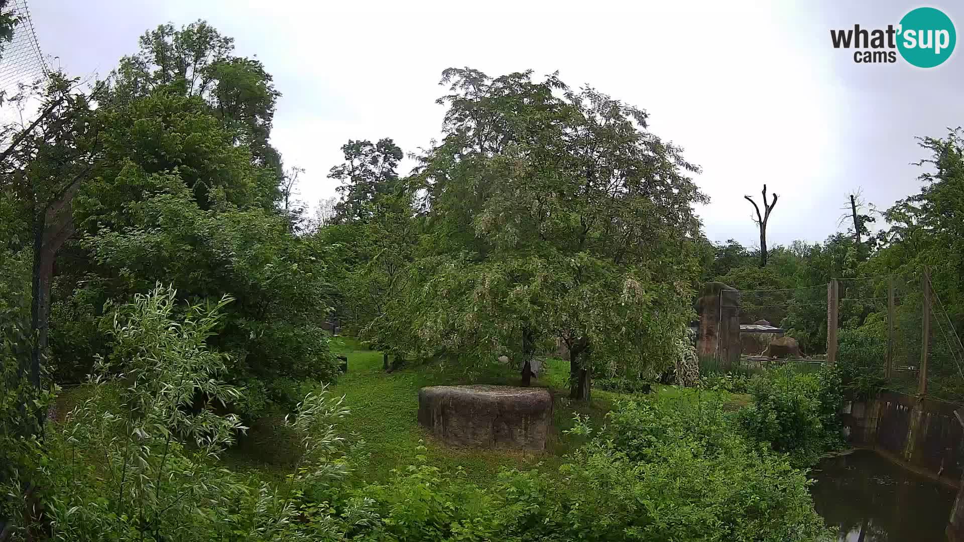 Zoo Zagreb – Leones