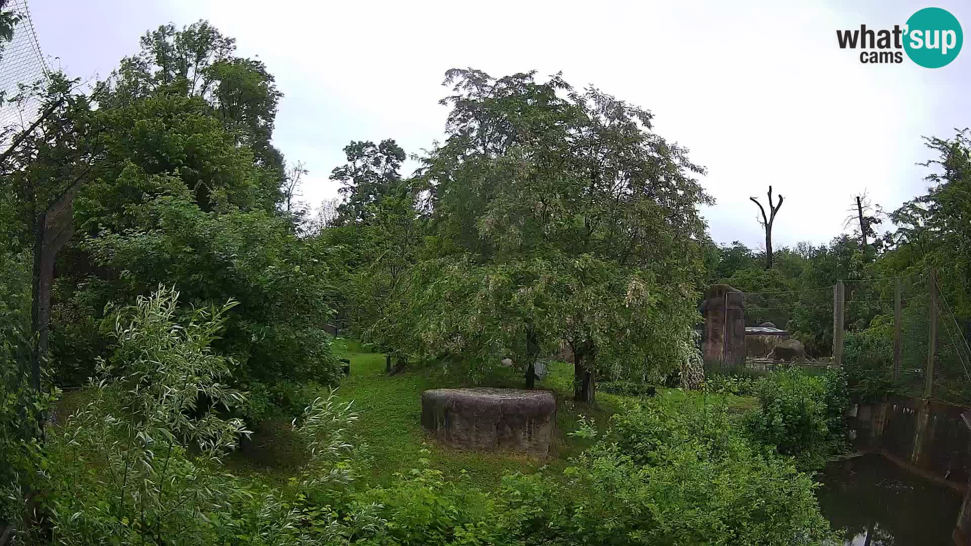 Zoo Zagreb – Löwen
