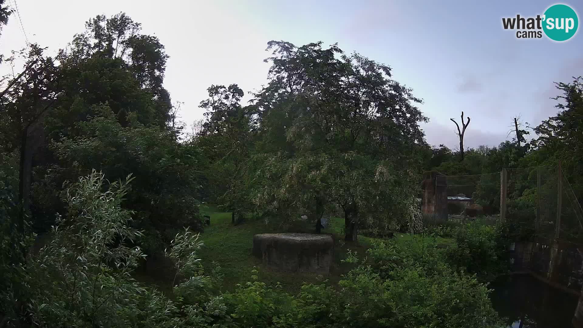 Zoo Zagreb – Leones