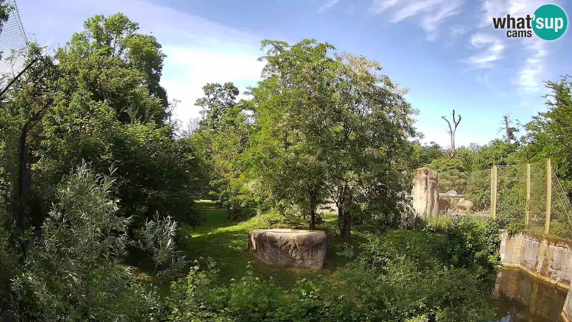 Zoo Zagreb – Leoni