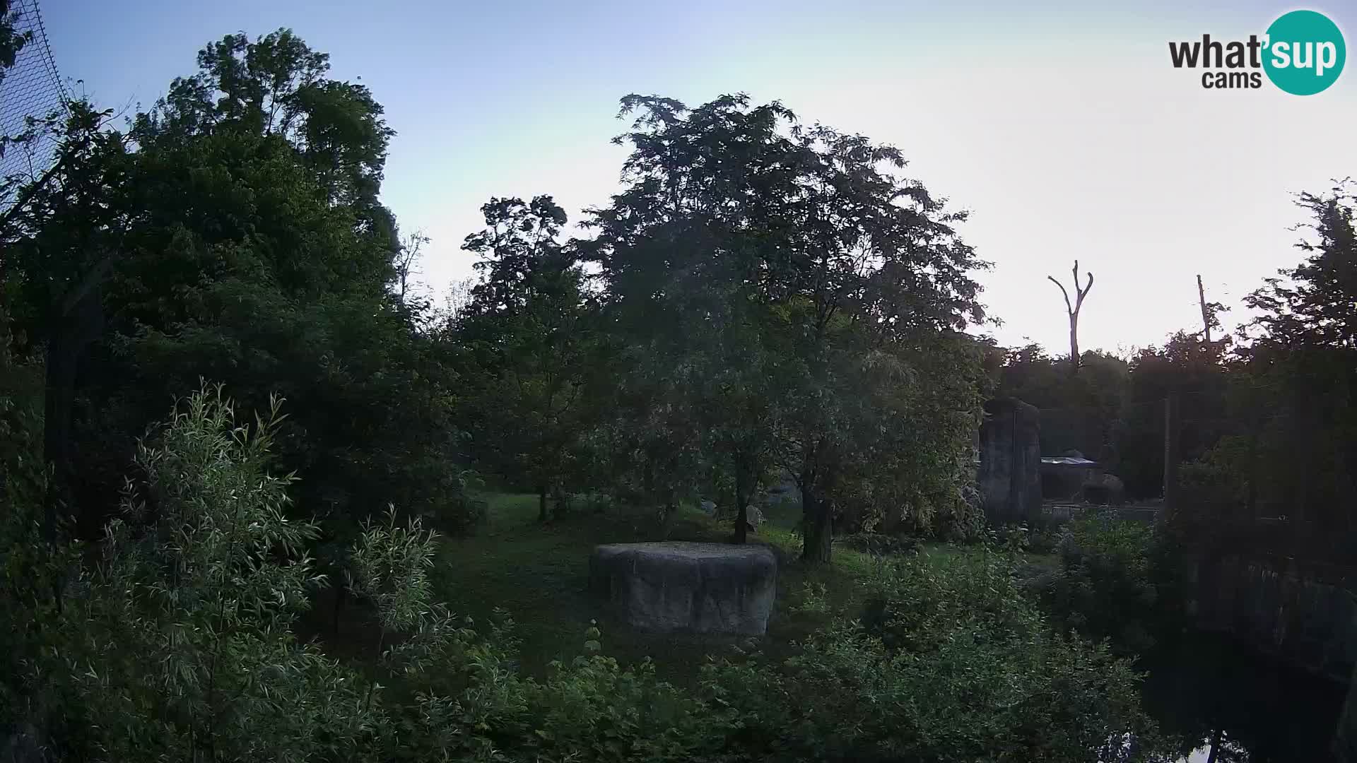 Zoo Zagreb – Löwen