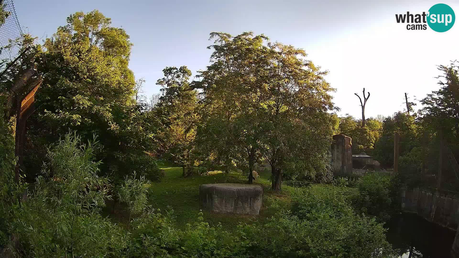 Zoo Zagreb – Lavovi