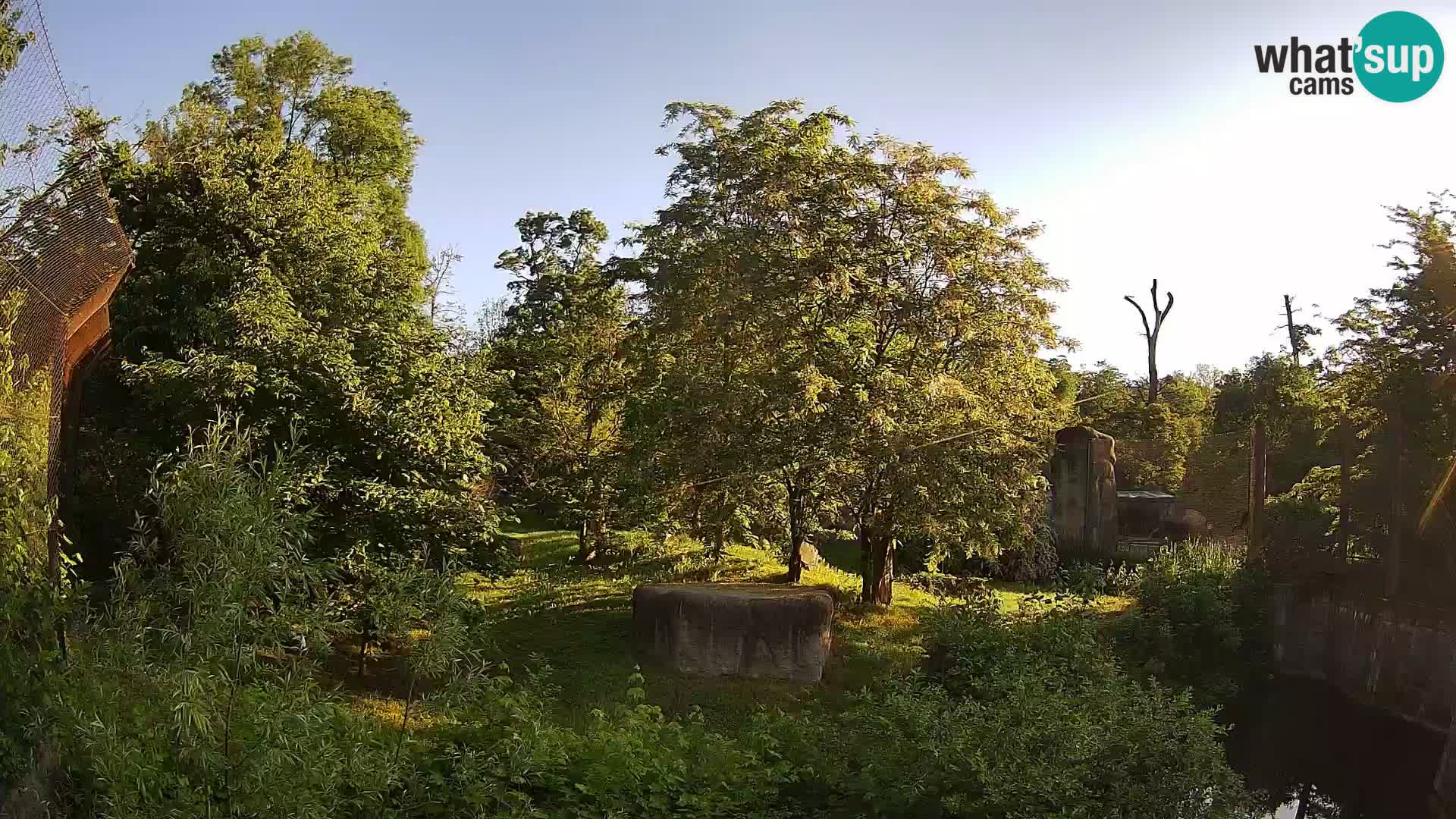 Zoo Zagreb – Leones