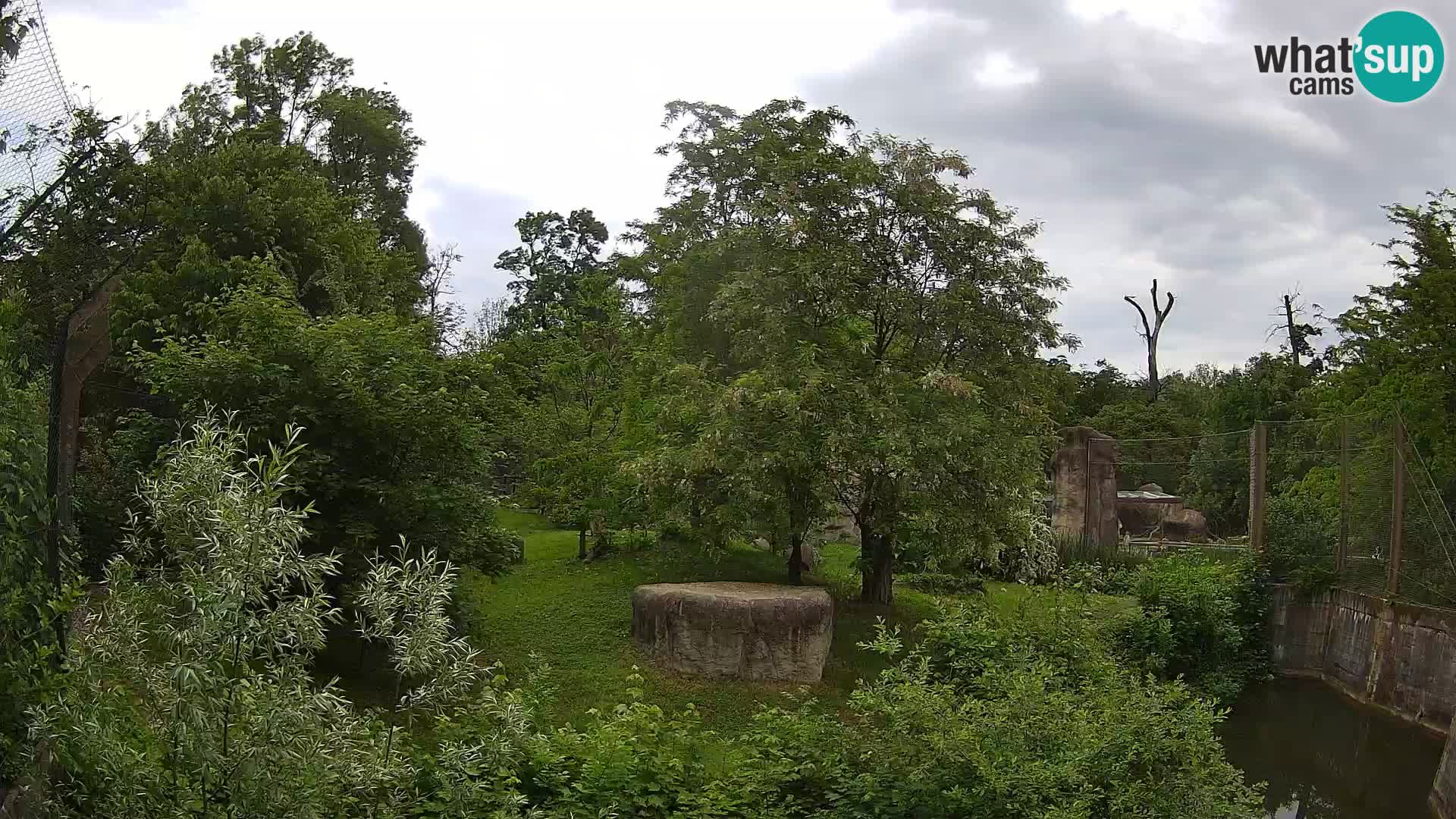 Zoo Zagreb – Leones