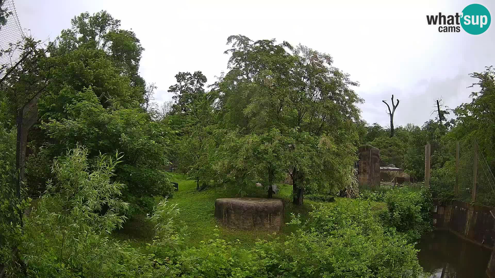 Zoo Zagreb – Löwen