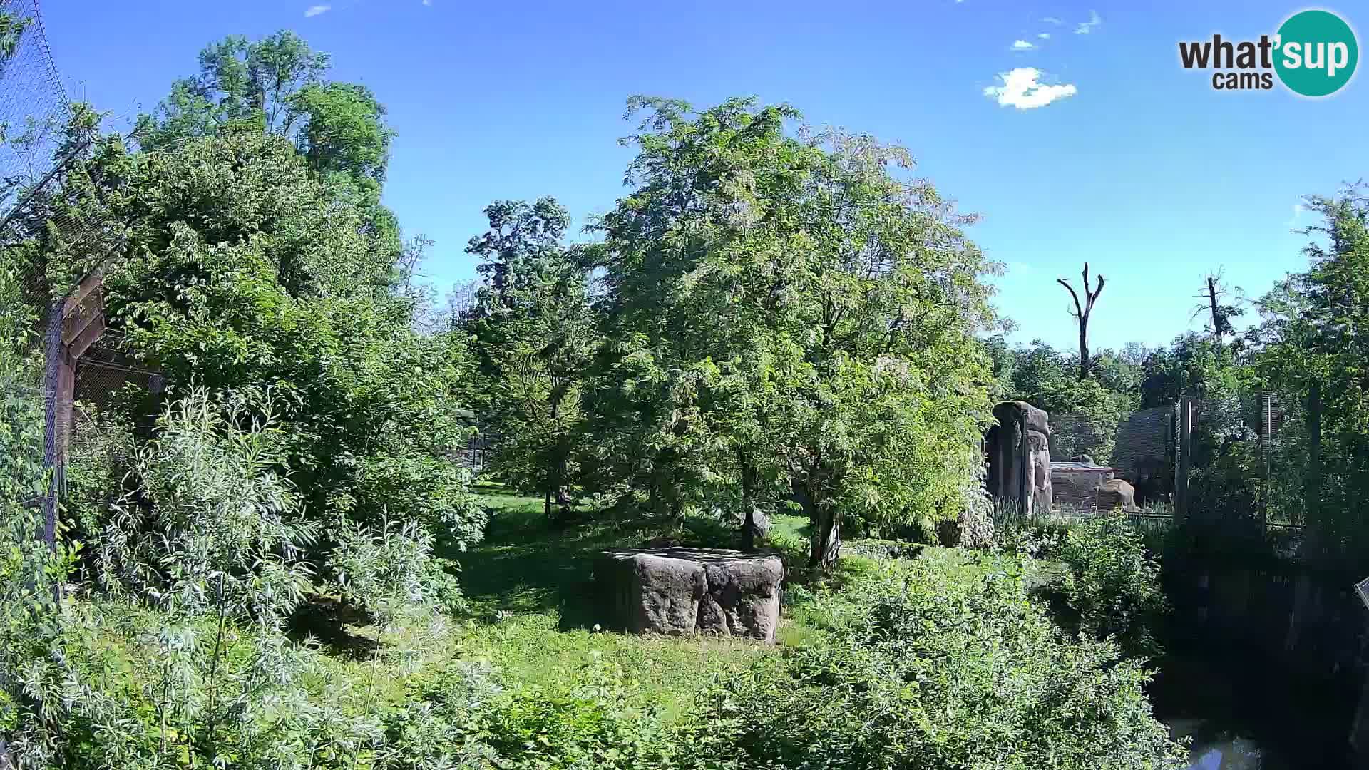 Zoo Zagreb – Leones