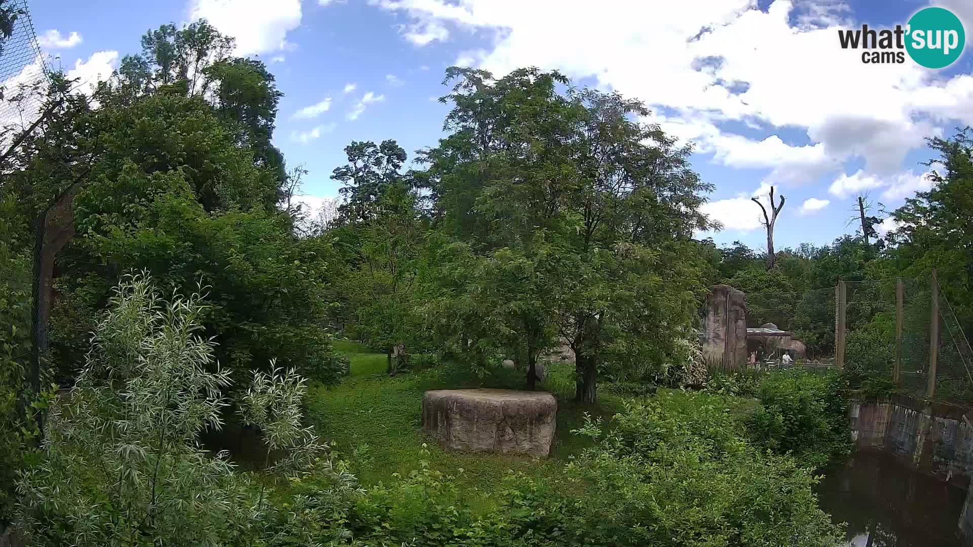 Zoo Zagreb – Löwen