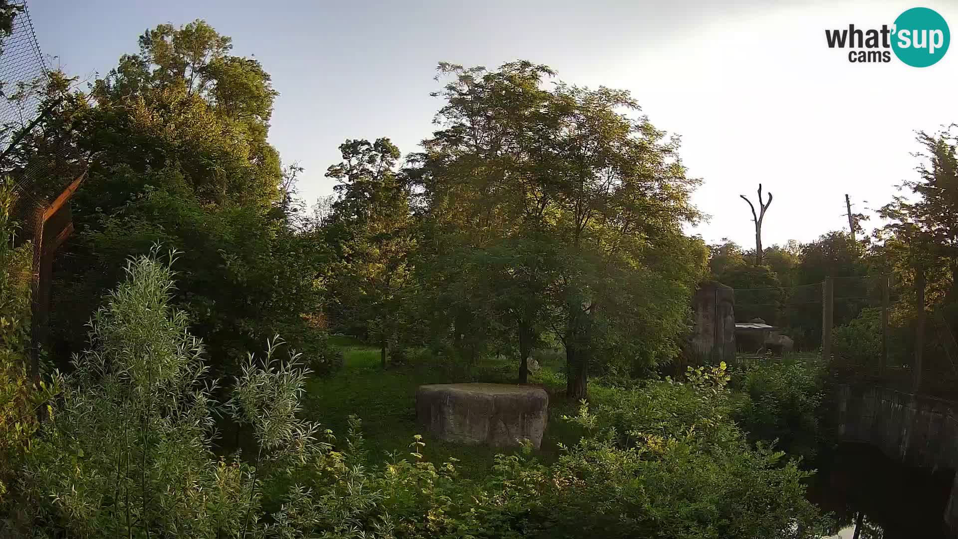 Spletna kamera Zoo Zagreb – Levi
