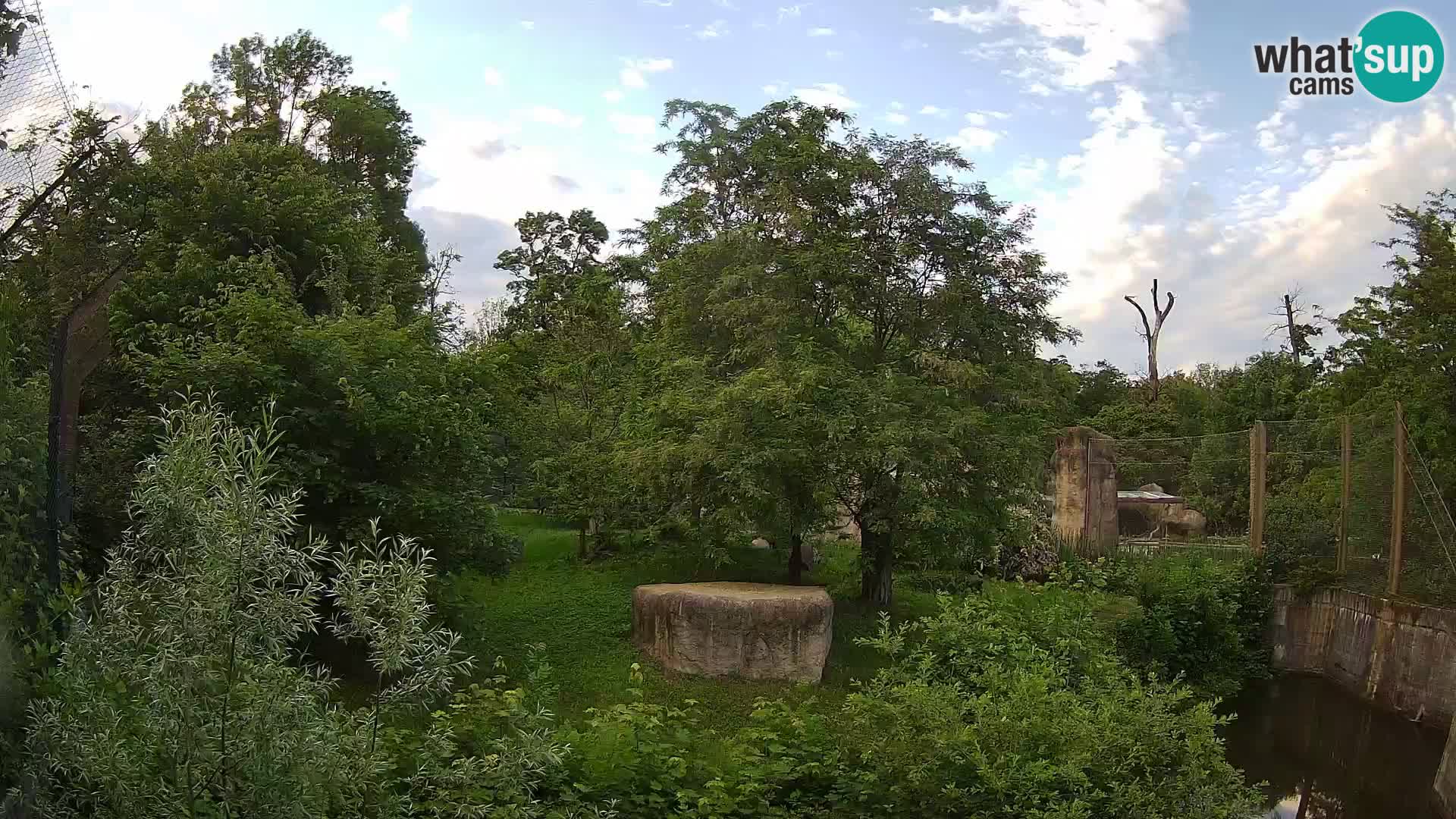 Zoo Zagreb – Lavovi