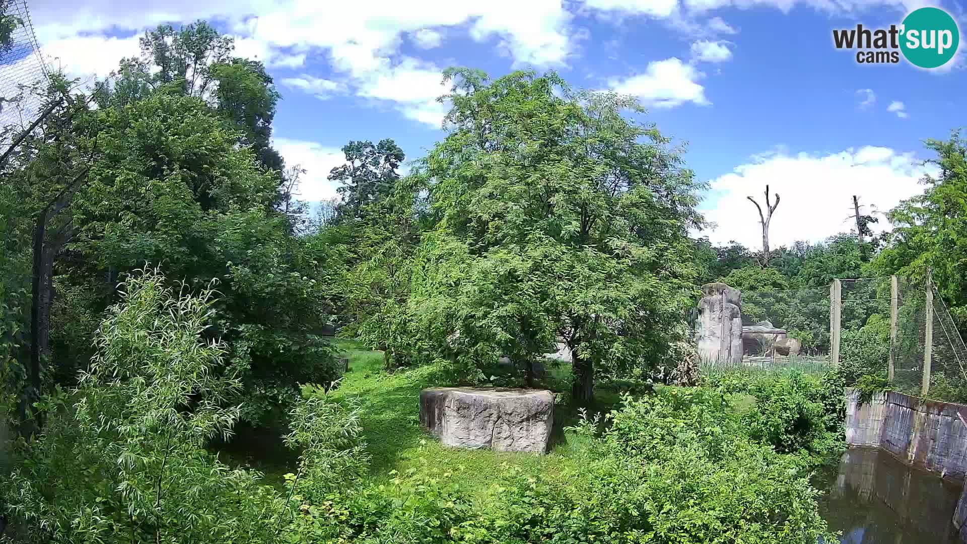 Zoo Zagreb – Leoni