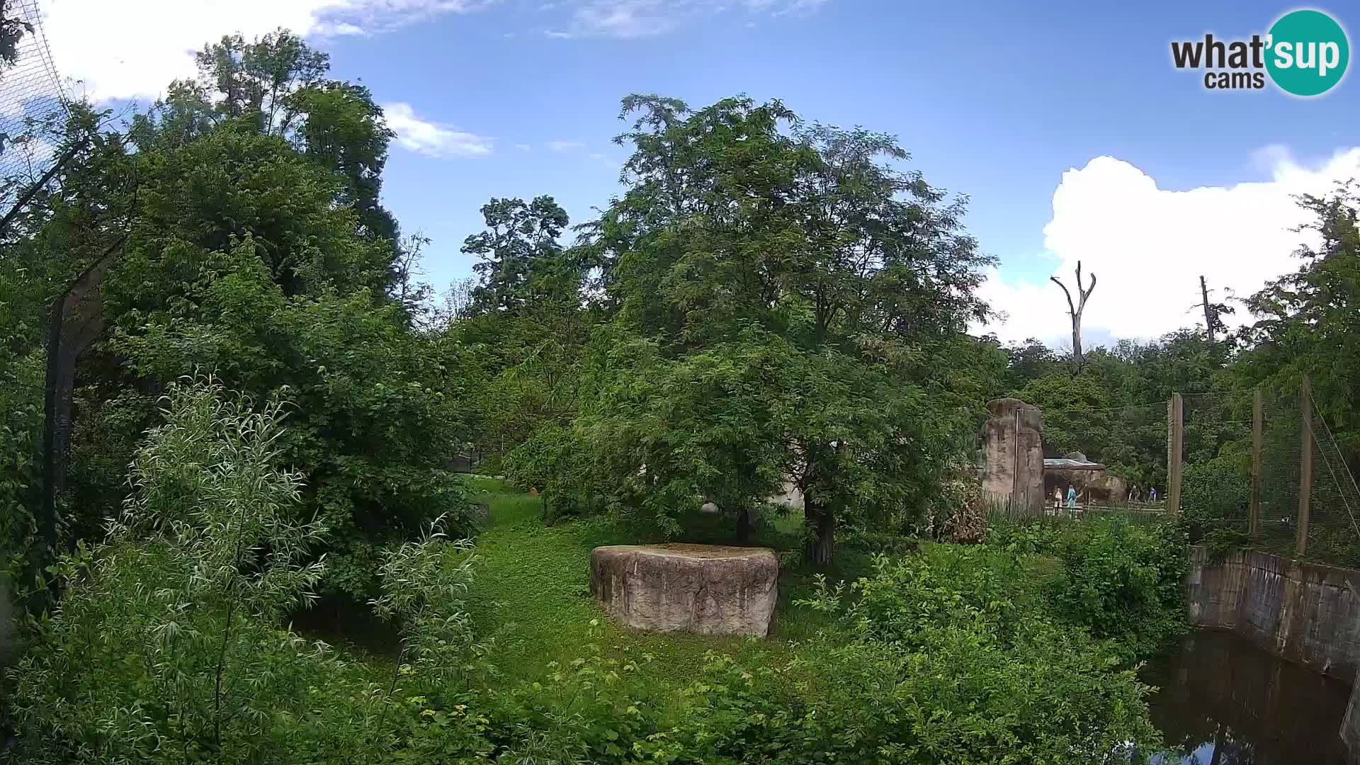 Spletna kamera Zoo Zagreb – Levi