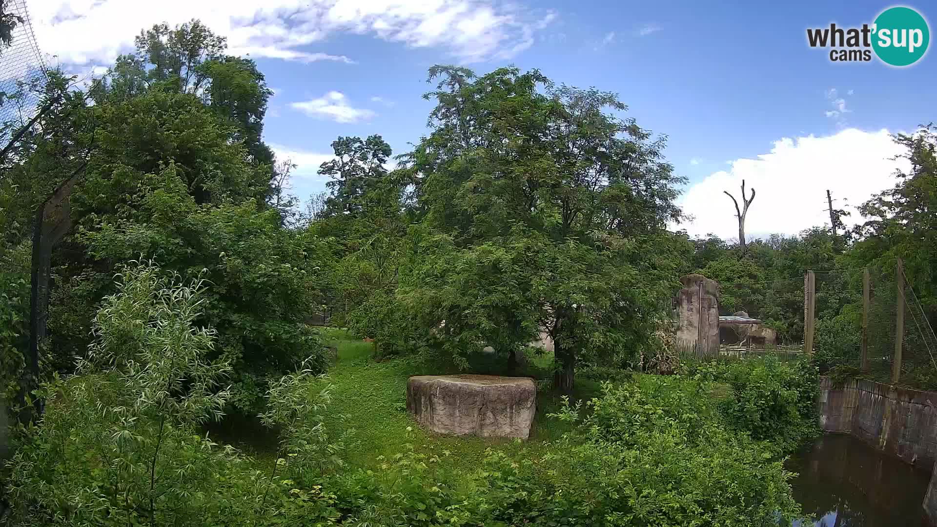 Zoo Zagreb – Leoni