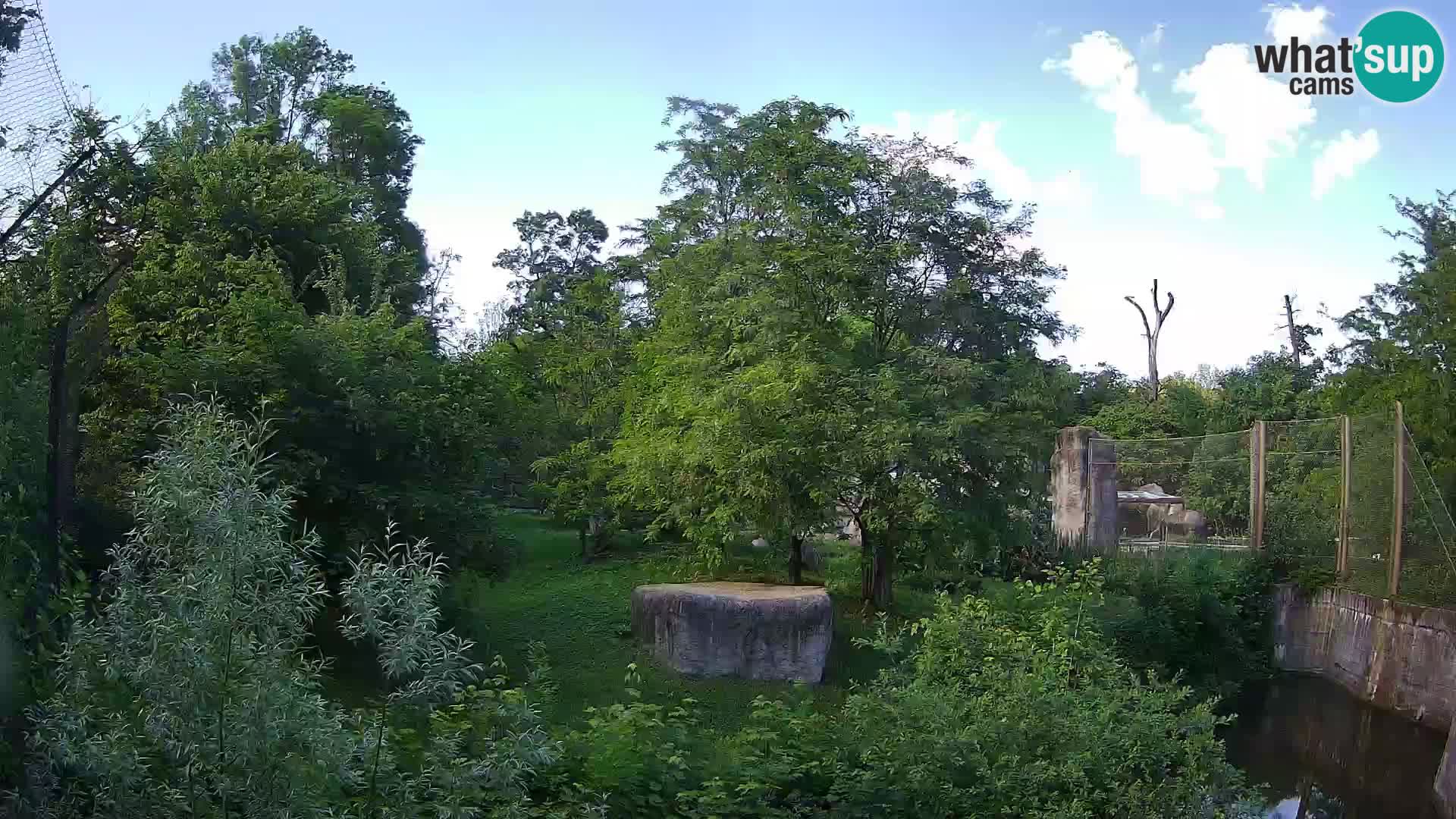 Zoo Zagreb – Lavovi