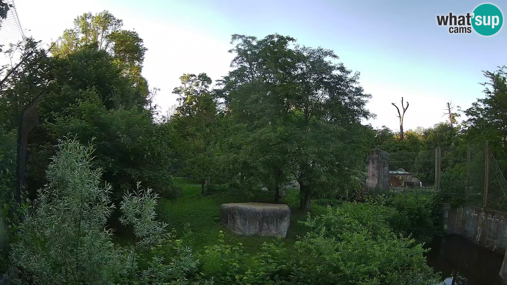 Zoo Zagreb – Leoni