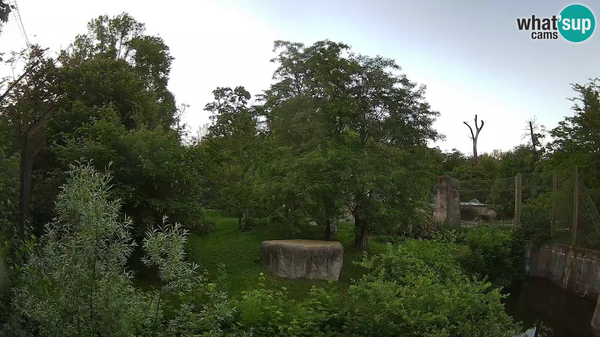 Zoo Zagreb – Lavovi