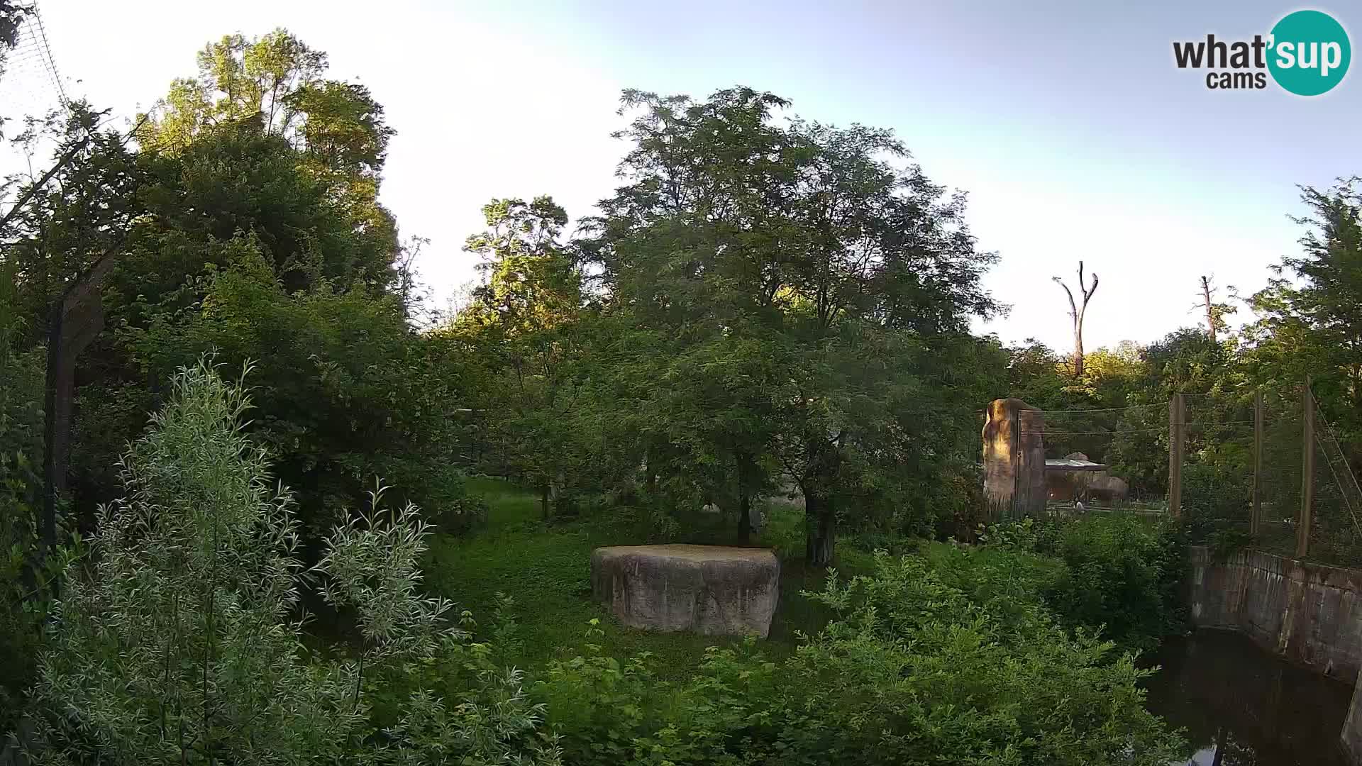 Zoo Zagreb – Leoni